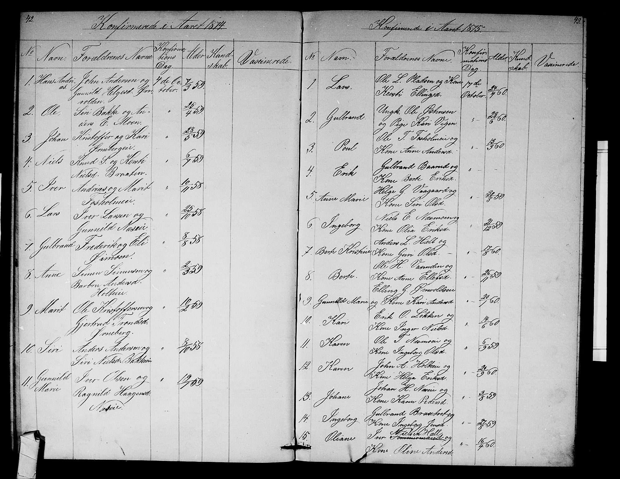 Ådal kirkebøker, SAKO/A-248/G/Gb/L0001: Parish register (copy) no. II 1, 1874-1888, p. 42-43