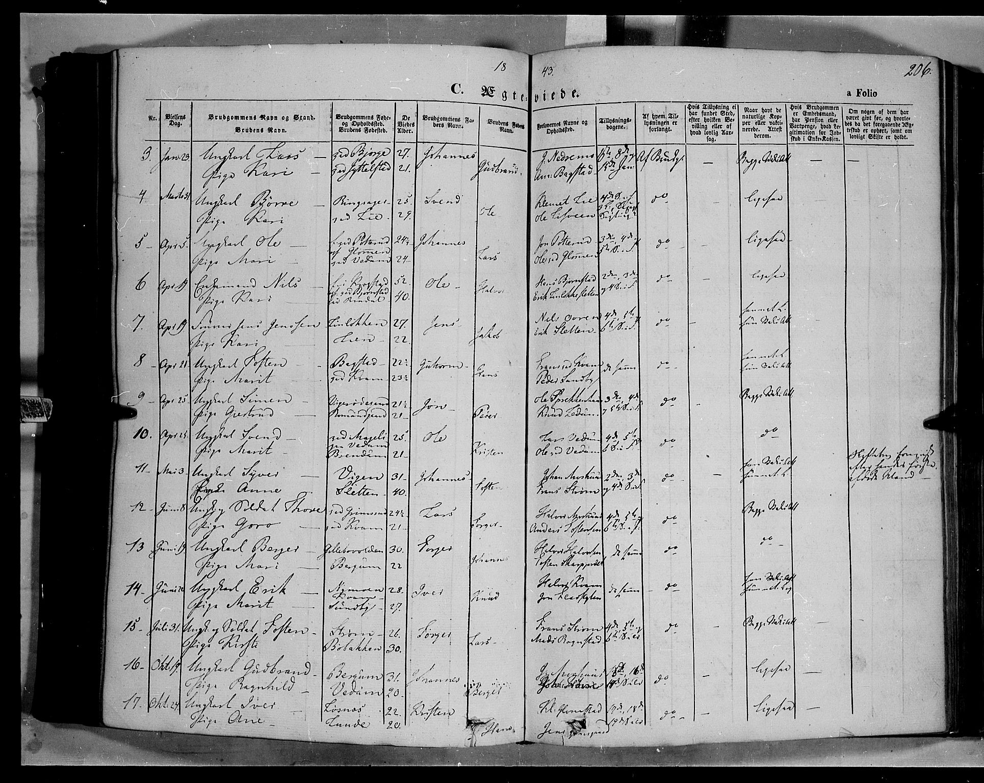 Øyer prestekontor, SAH/PREST-084/H/Ha/Haa/L0005: Parish register (official) no. 5, 1842-1857, p. 206