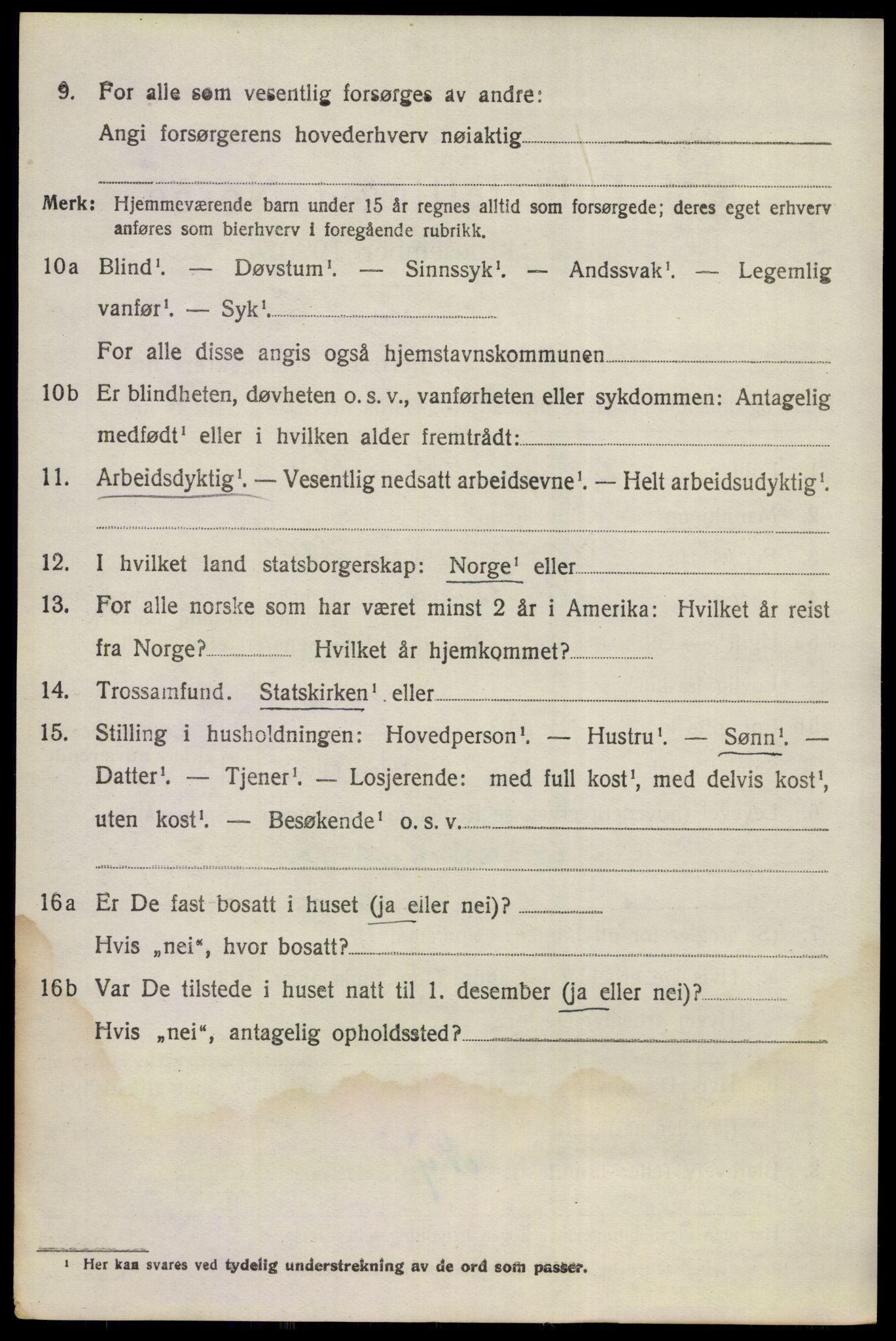 SAKO, 1920 census for Nes (Buskerud), 1920, p. 1613