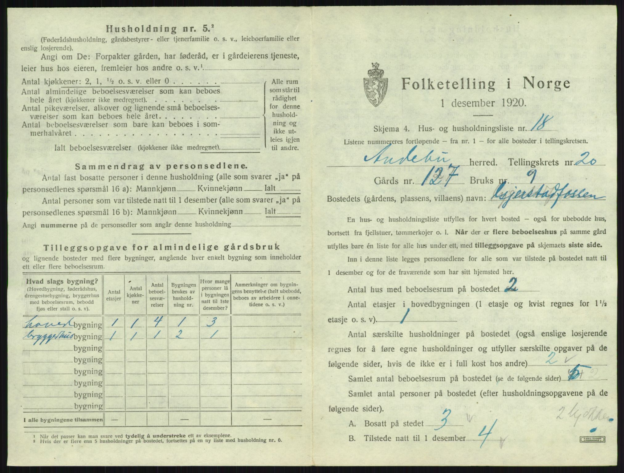 SAKO, 1920 census for Andebu, 1920, p. 1138