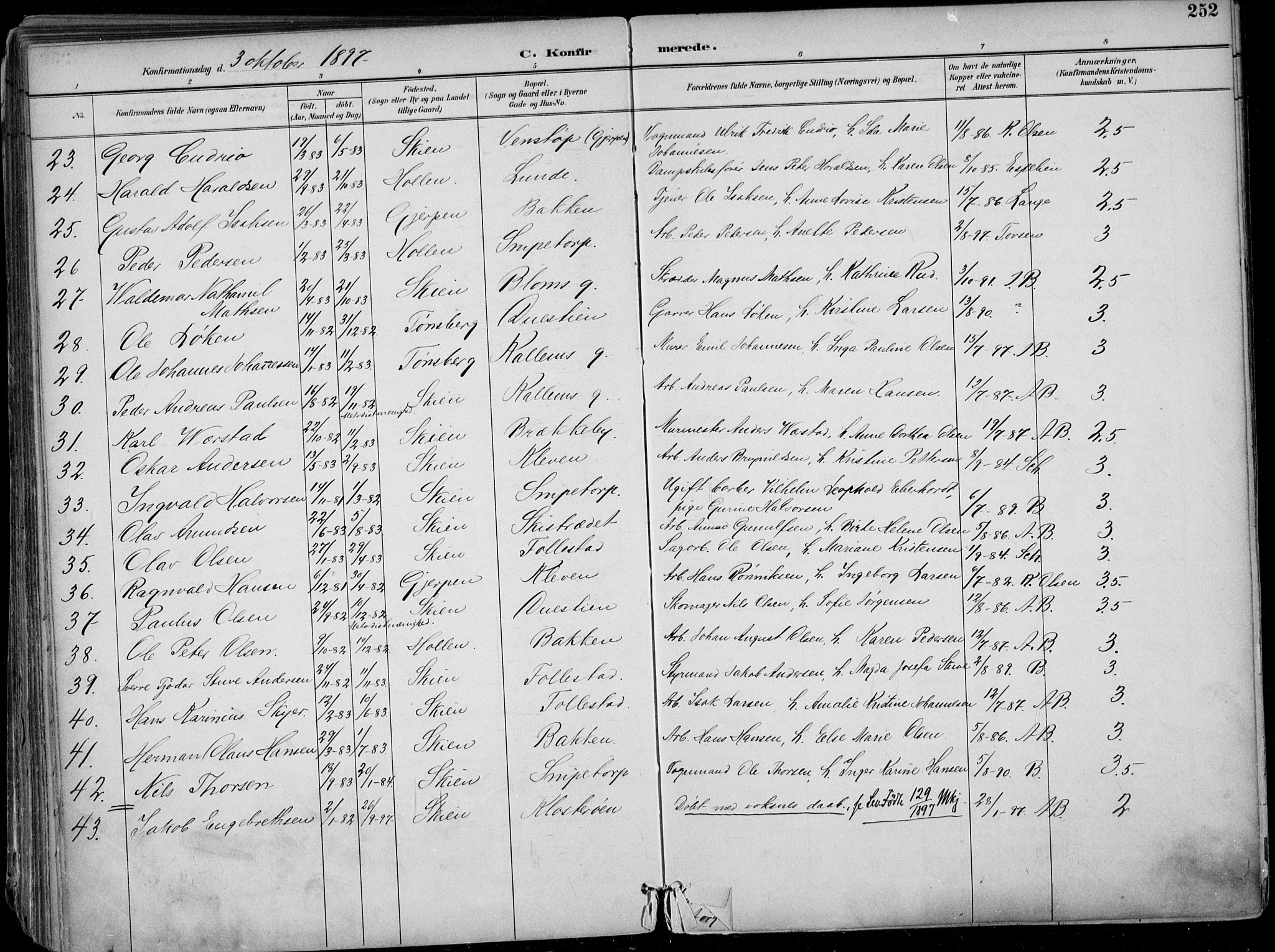 Skien kirkebøker, AV/SAKO-A-302/F/Fa/L0010: Parish register (official) no. 10, 1891-1899, p. 252