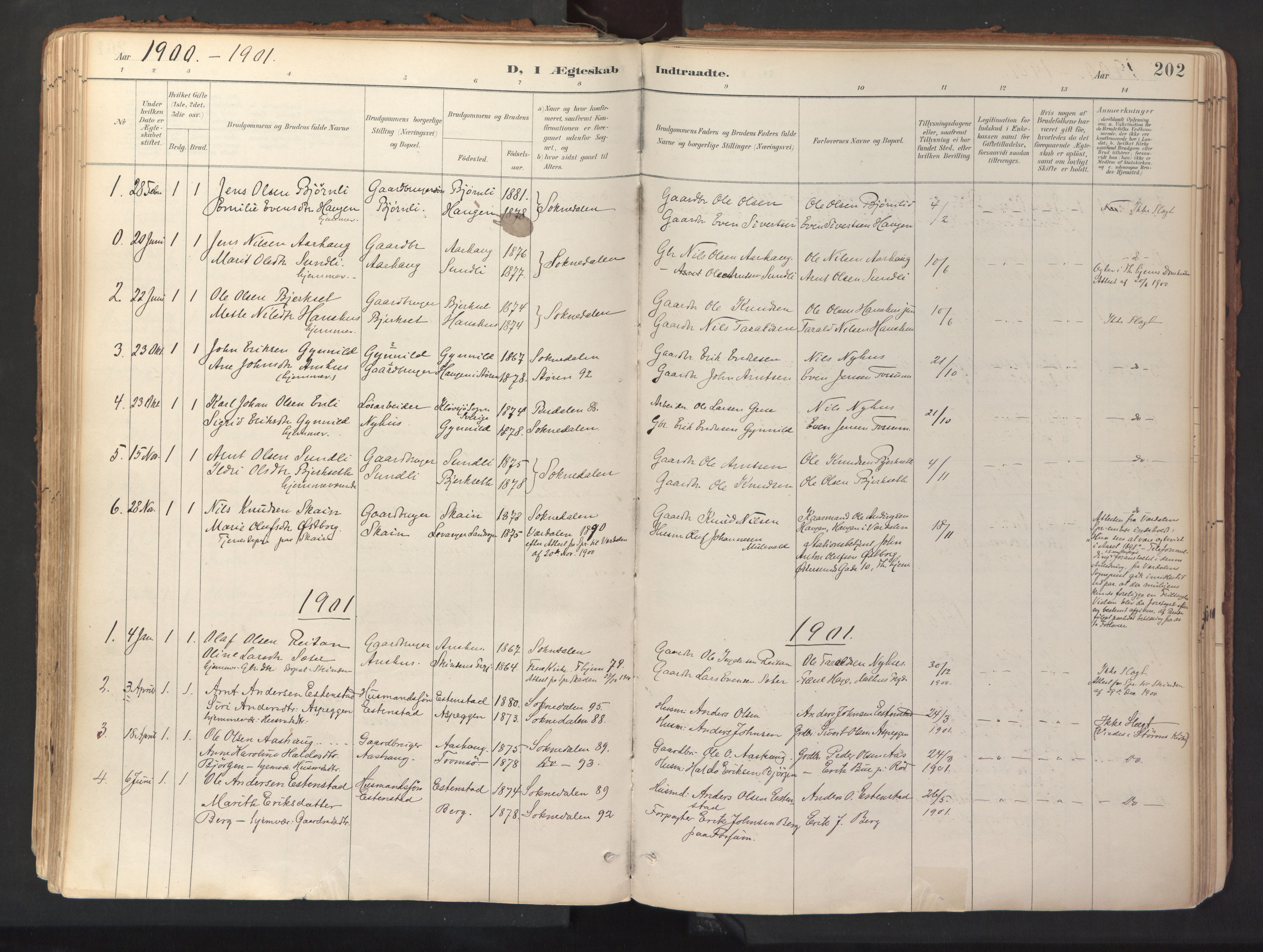 Ministerialprotokoller, klokkerbøker og fødselsregistre - Sør-Trøndelag, SAT/A-1456/689/L1041: Parish register (official) no. 689A06, 1891-1923, p. 202