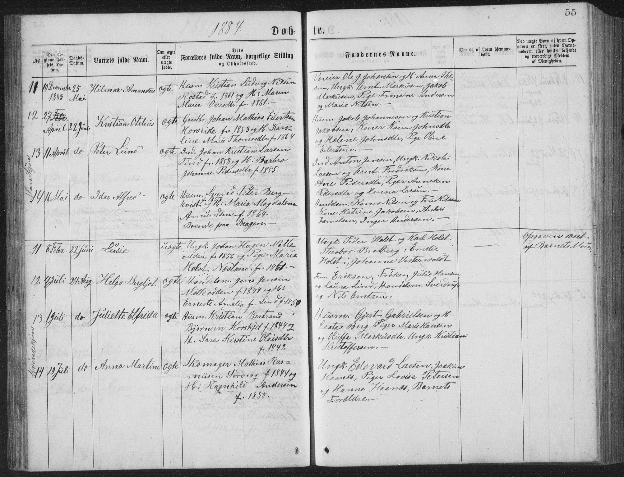 Ministerialprotokoller, klokkerbøker og fødselsregistre - Nordland, AV/SAT-A-1459/886/L1225: Parish register (copy) no. 886C02, 1874-1896, p. 55