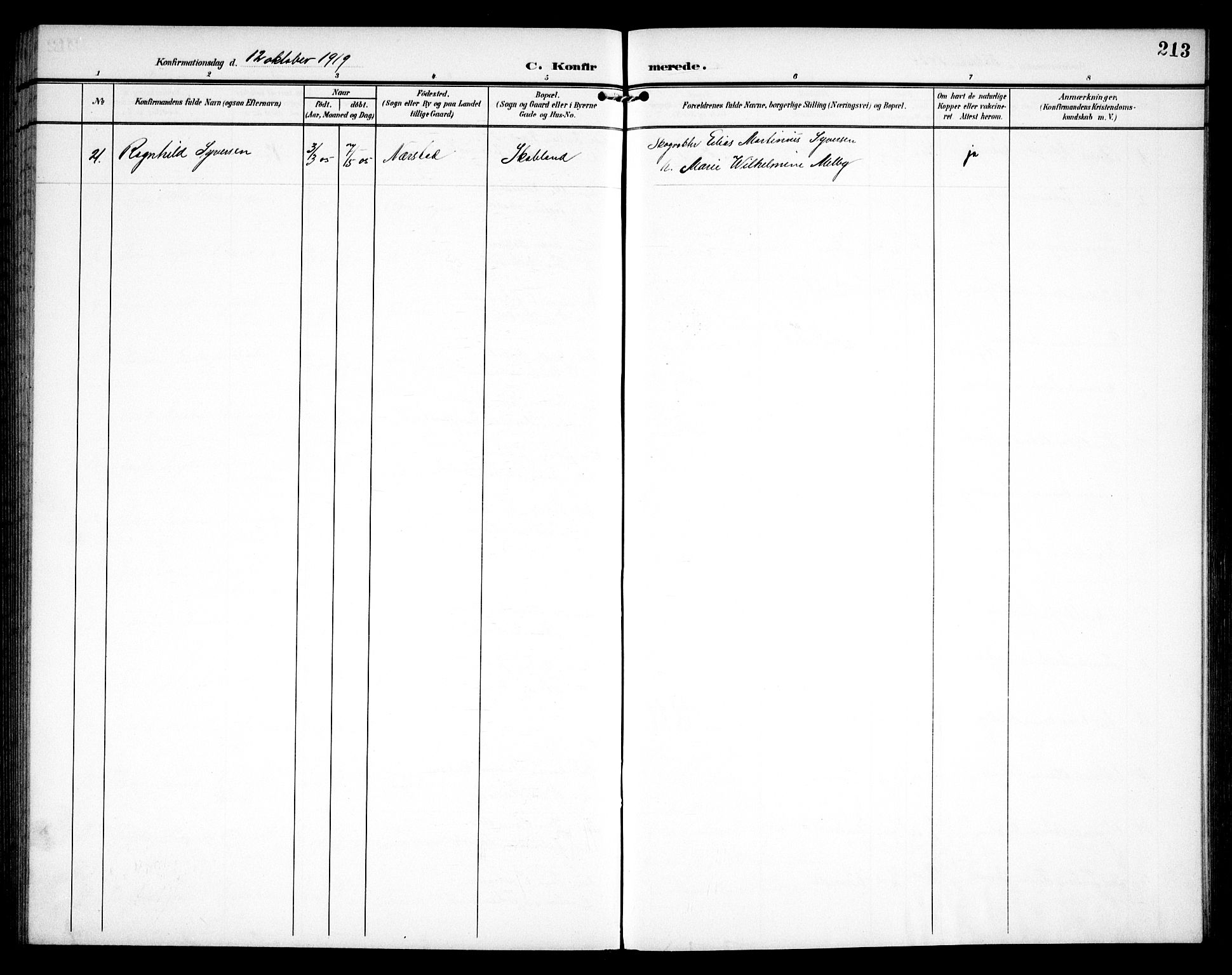 Hurdal prestekontor Kirkebøker, SAO/A-10889/G/Ga/L0001: Parish register (copy) no. I 1, 1902-1934, p. 213