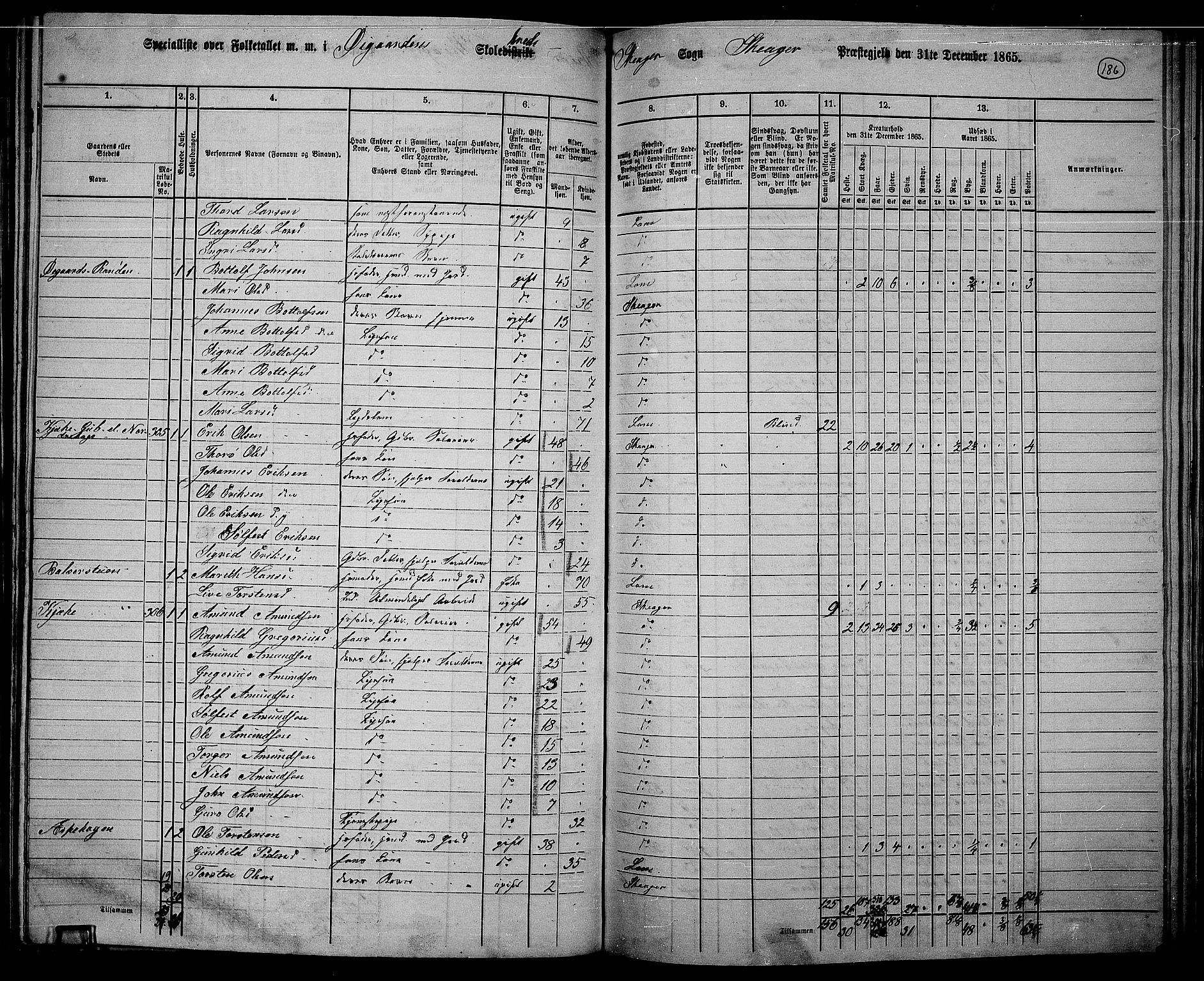 RA, 1865 census for Skjåk, 1865, p. 41