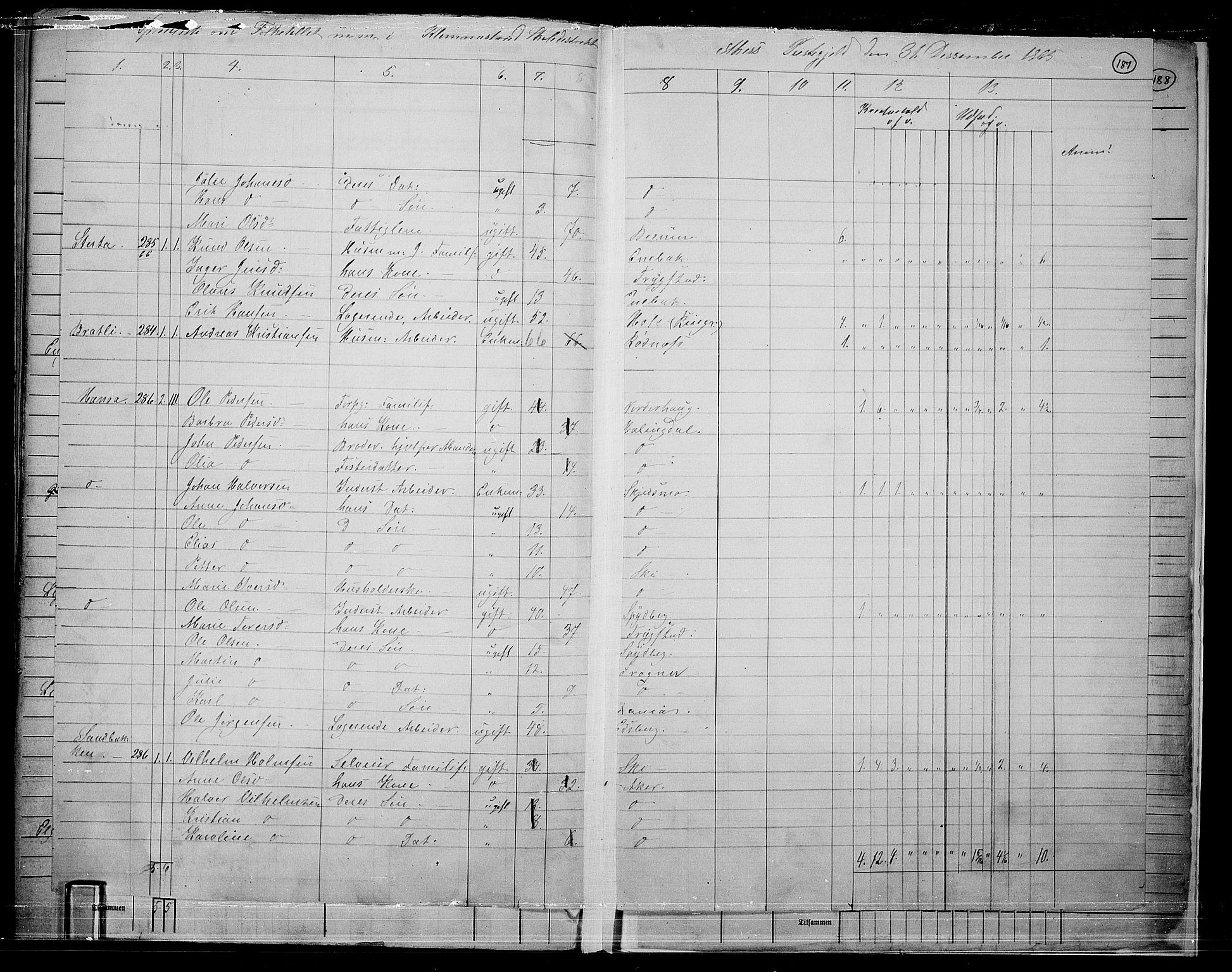 RA, 1865 census for Østre Aker, 1865, p. 405