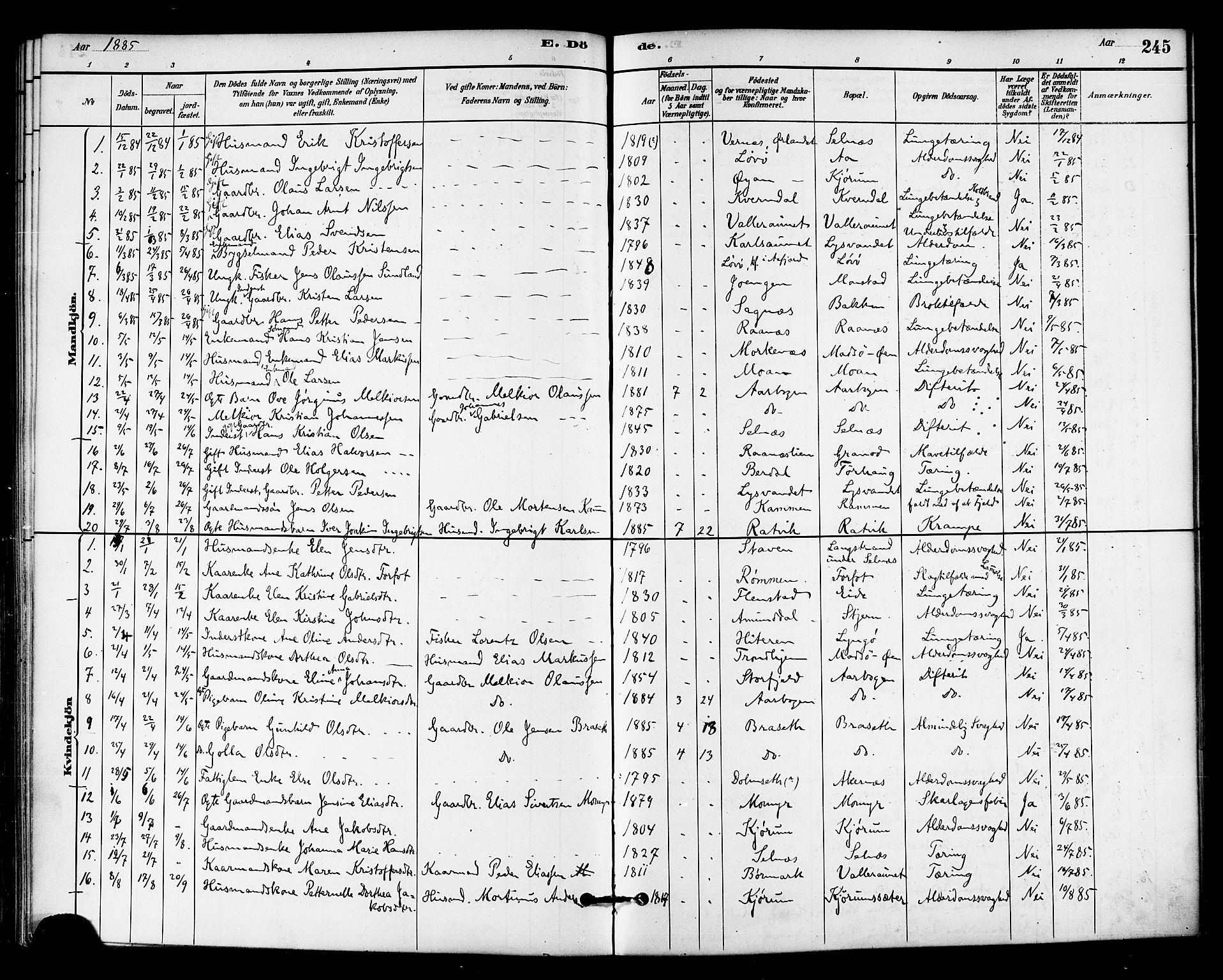 Ministerialprotokoller, klokkerbøker og fødselsregistre - Sør-Trøndelag, SAT/A-1456/655/L0680: Parish register (official) no. 655A09, 1880-1894, p. 245