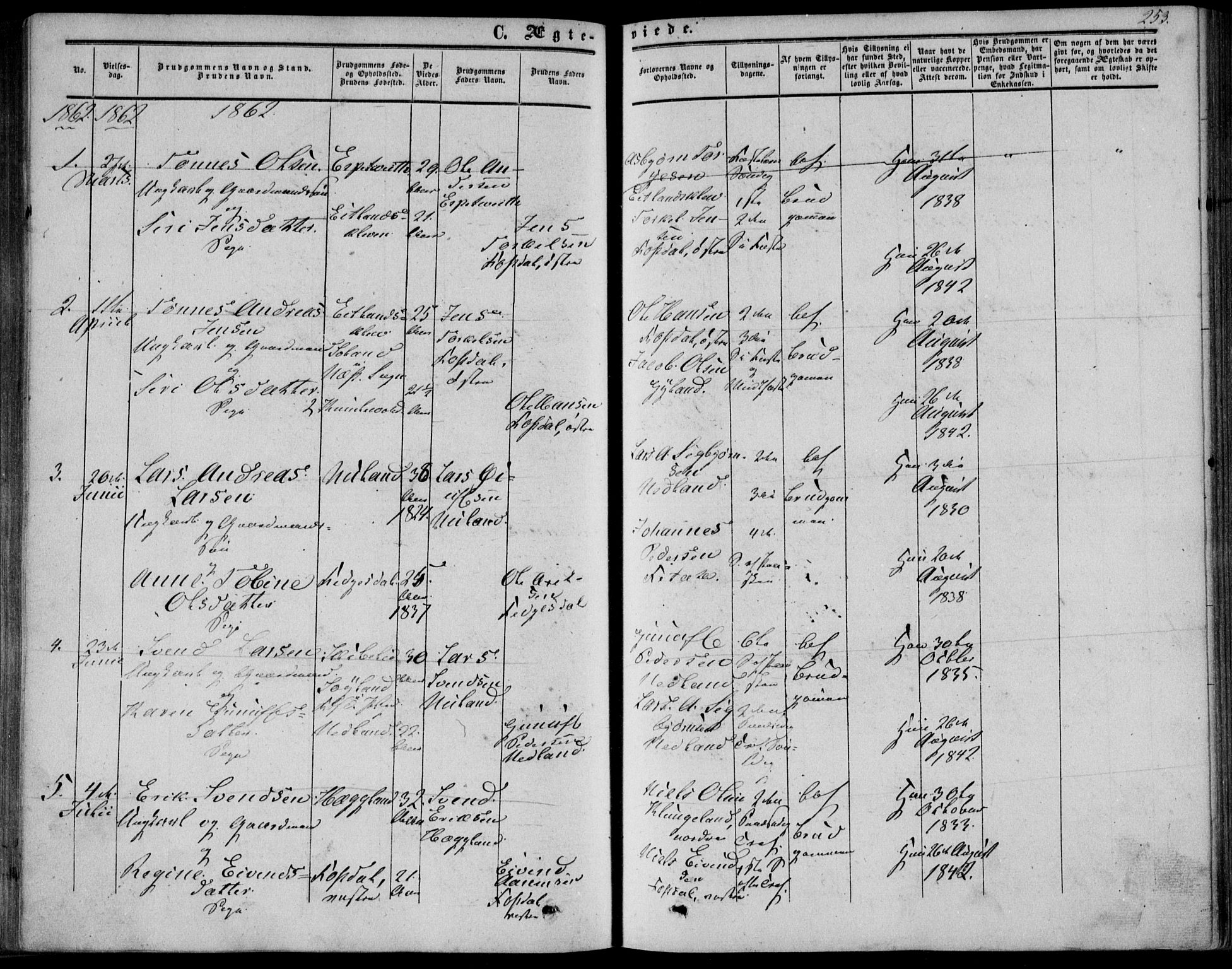 Bakke sokneprestkontor, AV/SAK-1111-0002/F/Fa/Fab/L0002: Parish register (official) no. A 2, 1855-1884, p. 253