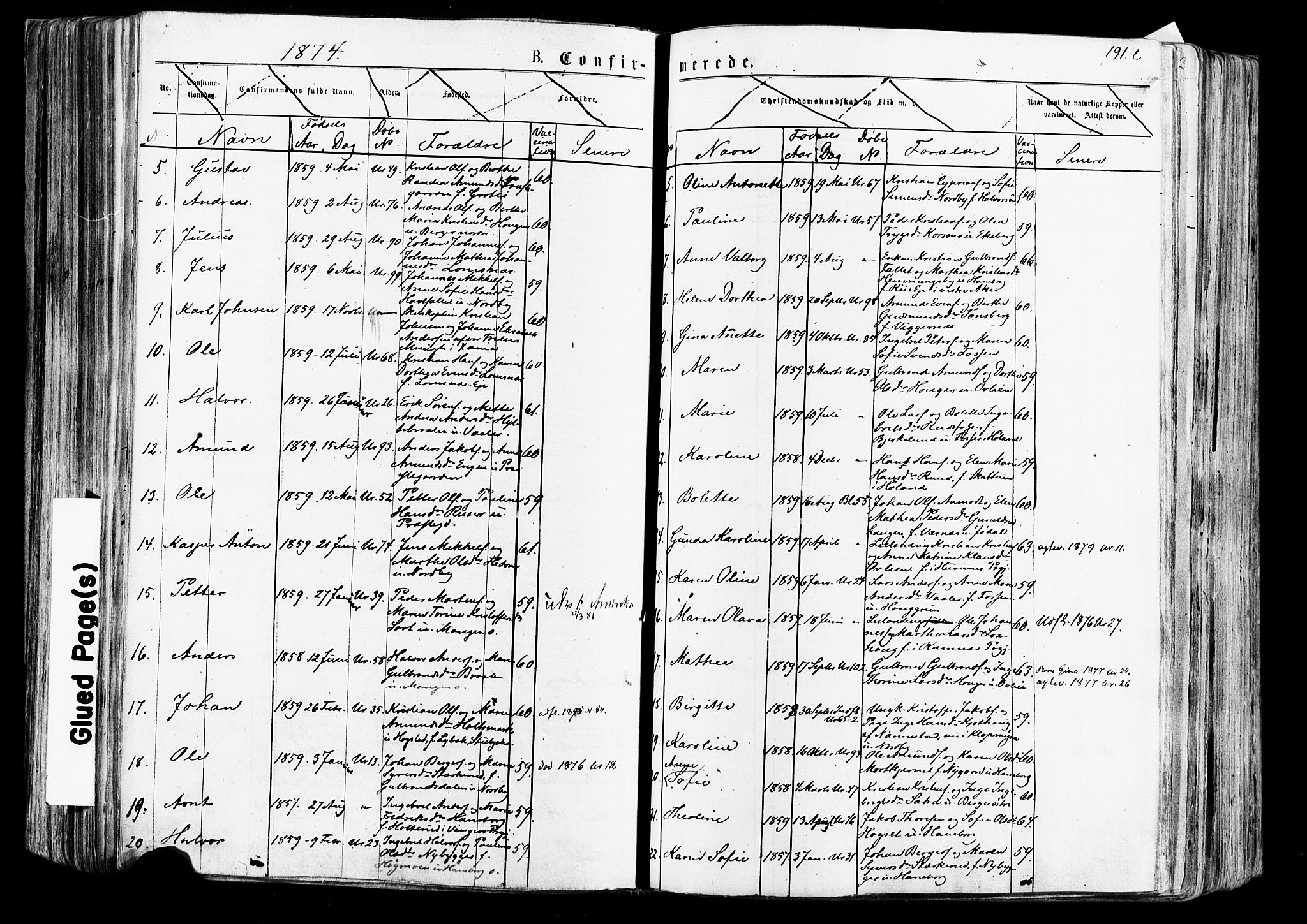 Aurskog prestekontor Kirkebøker, AV/SAO-A-10304a/F/Fa/L0007: Parish register (official) no. I 7, 1854-1877, p. 191l