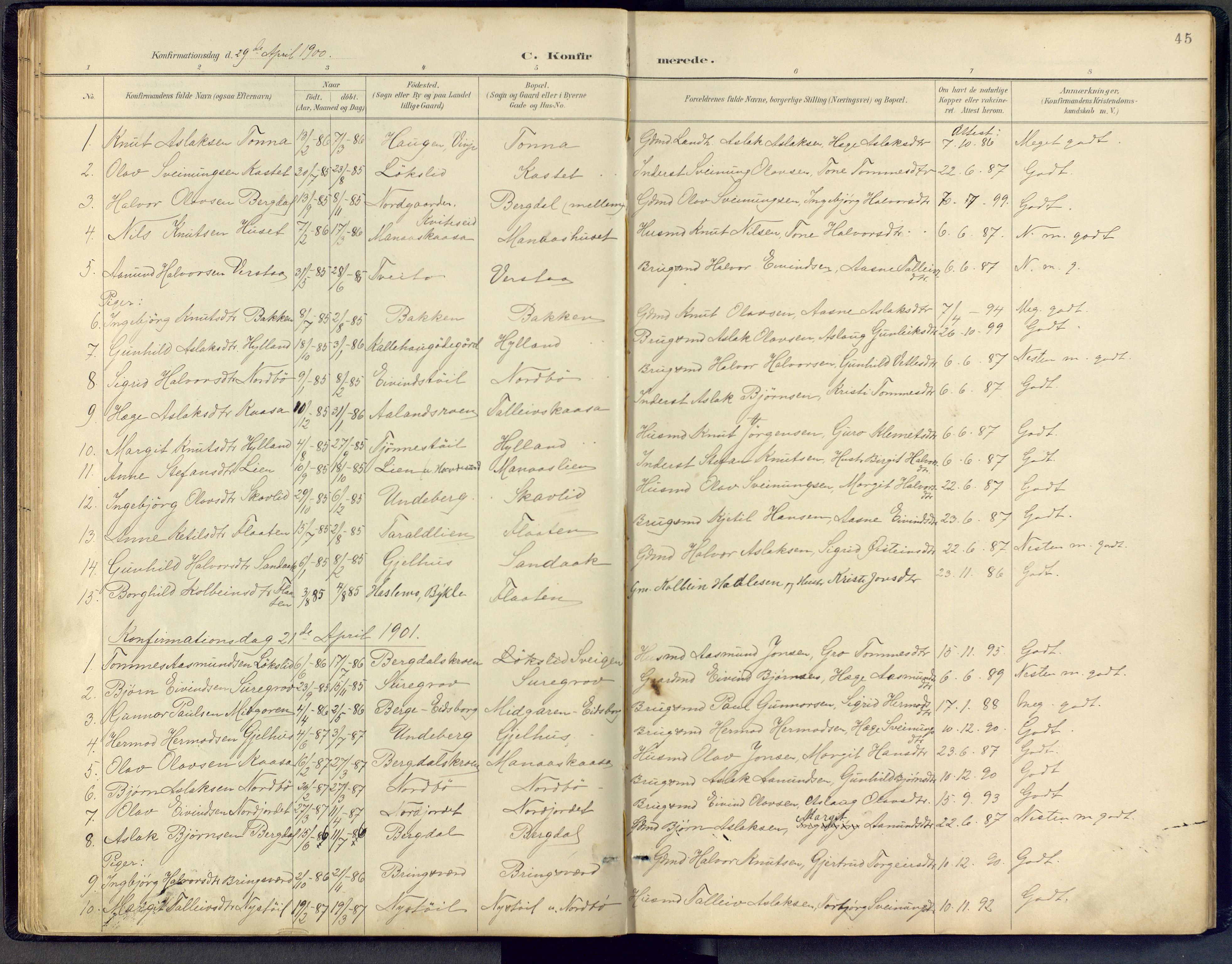 Vinje kirkebøker, SAKO/A-312/F/Fb/L0002: Parish register (official) no. II 2, 1887-1925, p. 45