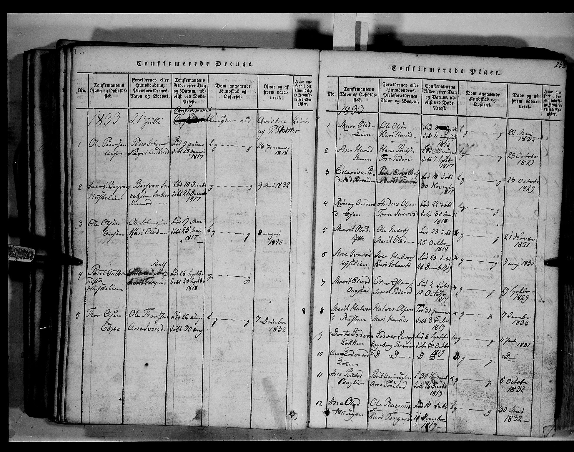 Fron prestekontor, AV/SAH-PREST-078/H/Ha/Hab/L0003: Parish register (copy) no. 3, 1816-1850, p. 253