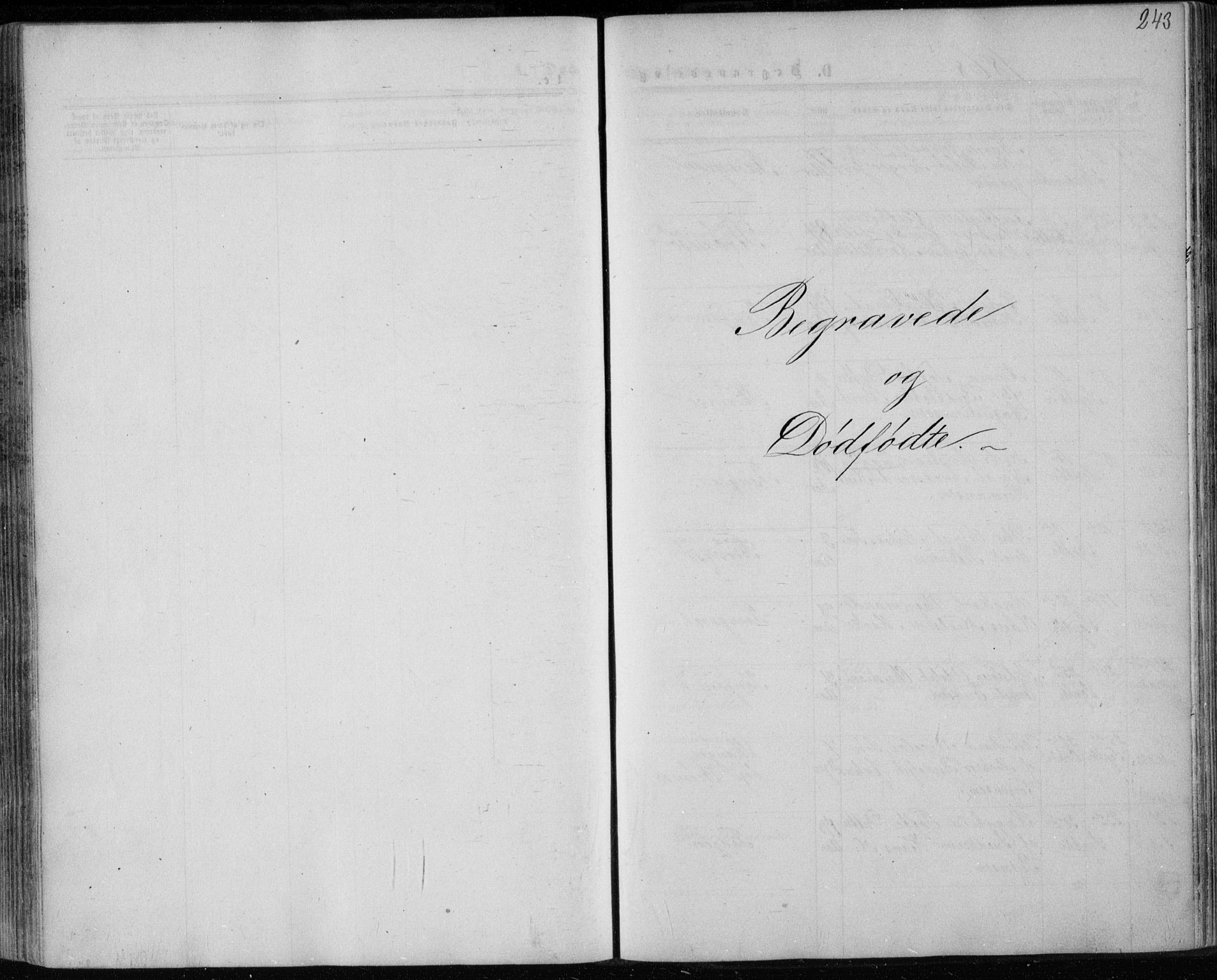 Strømsø kirkebøker, AV/SAKO-A-246/F/Fa/L0016: Parish register (official) no. I 16, 1868-1873, p. 243