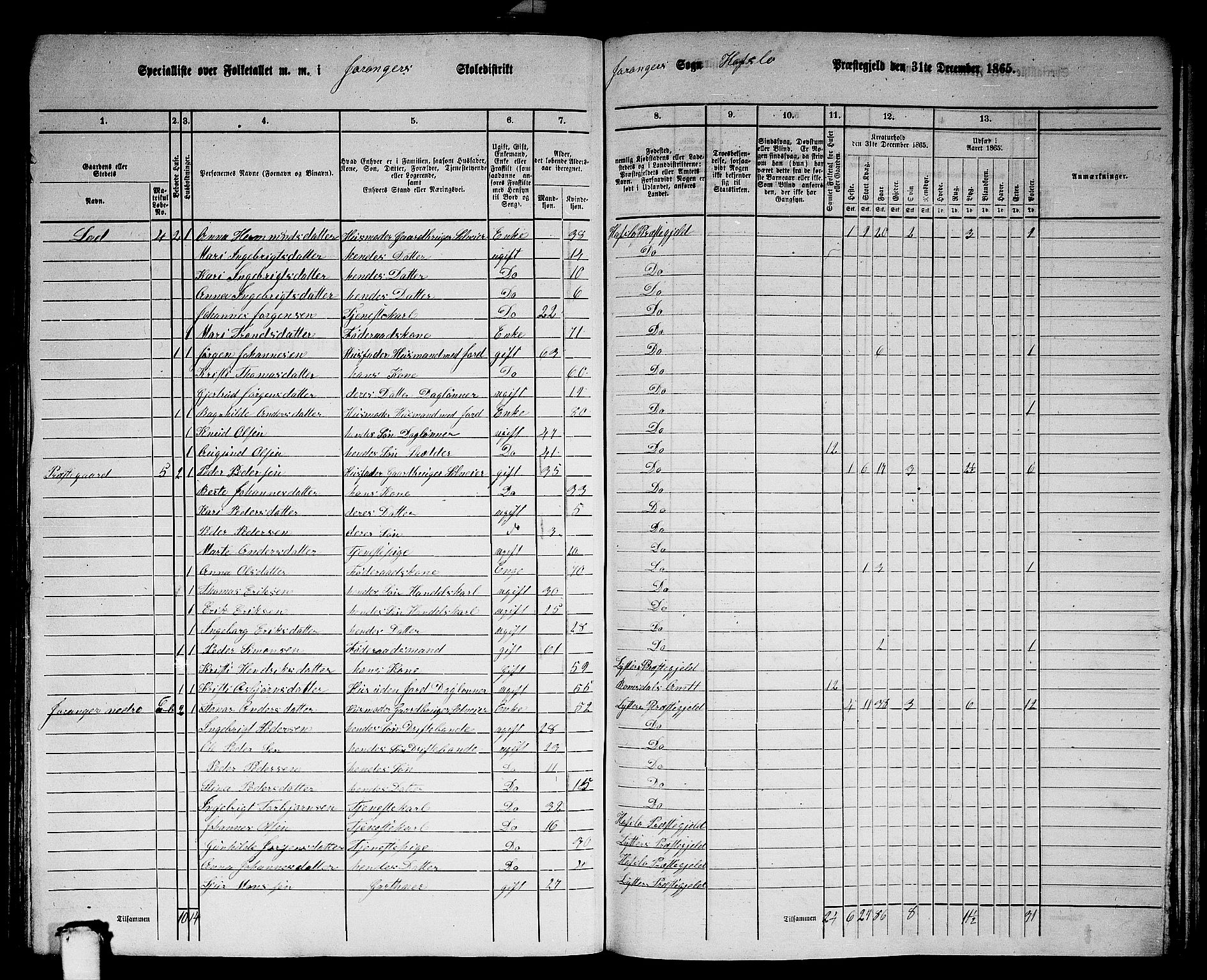 RA, 1865 census for Hafslo, 1865, p. 118