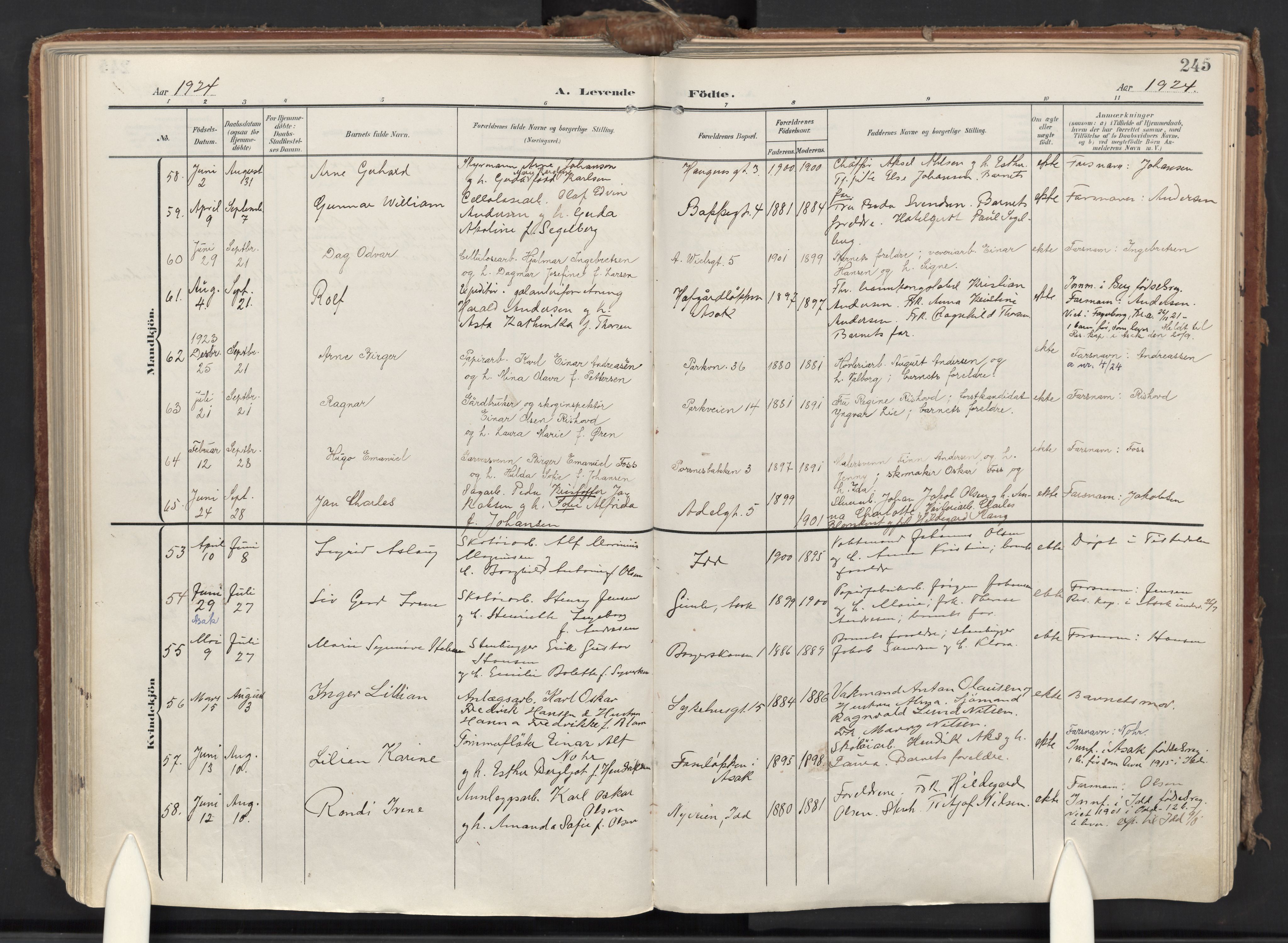 Halden prestekontor Kirkebøker, AV/SAO-A-10909/F/Fa/L0015: Parish register (official) no. I 15, 1907-1925, p. 245
