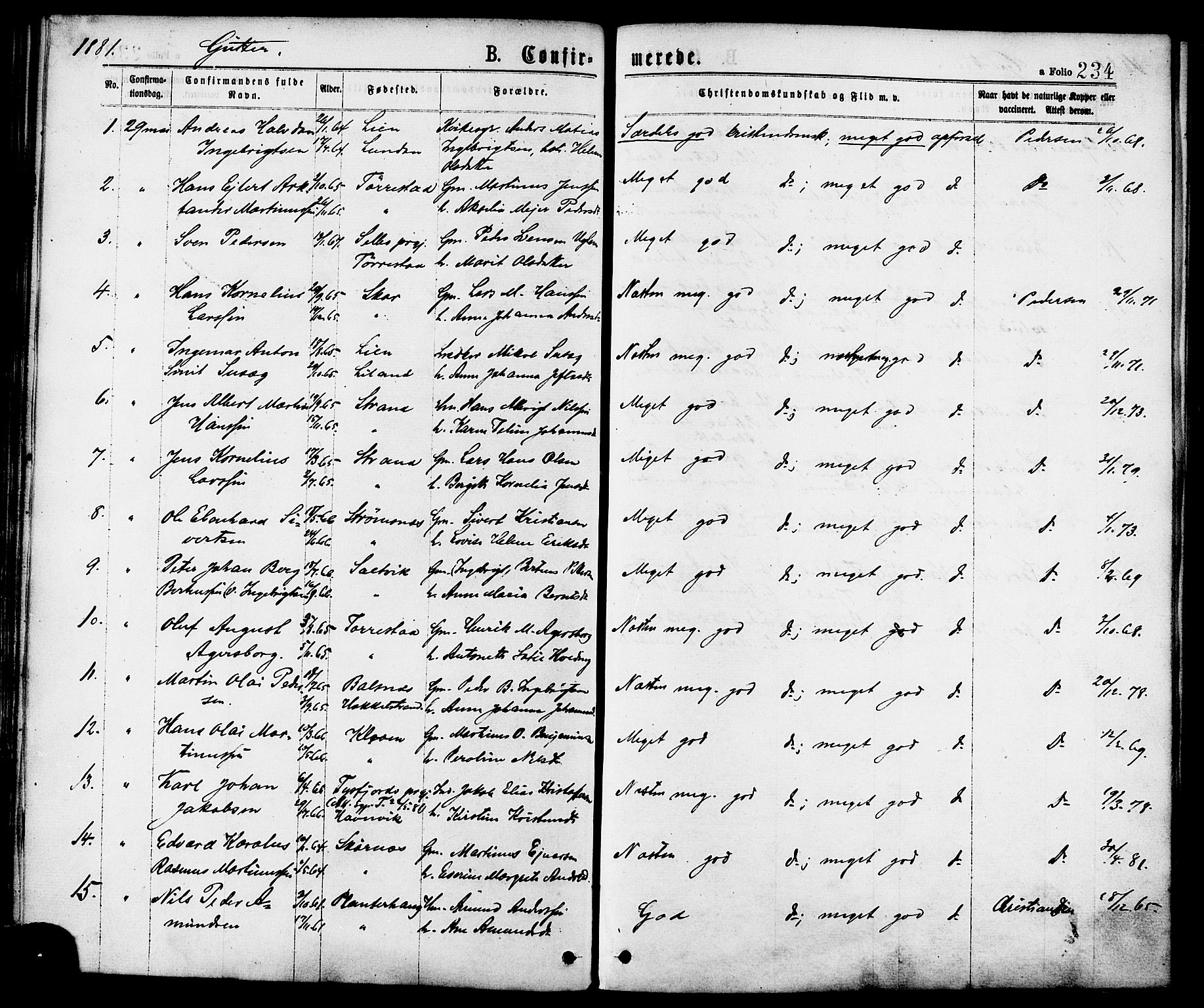 Ministerialprotokoller, klokkerbøker og fødselsregistre - Nordland, SAT/A-1459/863/L0897: Parish register (official) no. 863A09, 1872-1886, p. 234