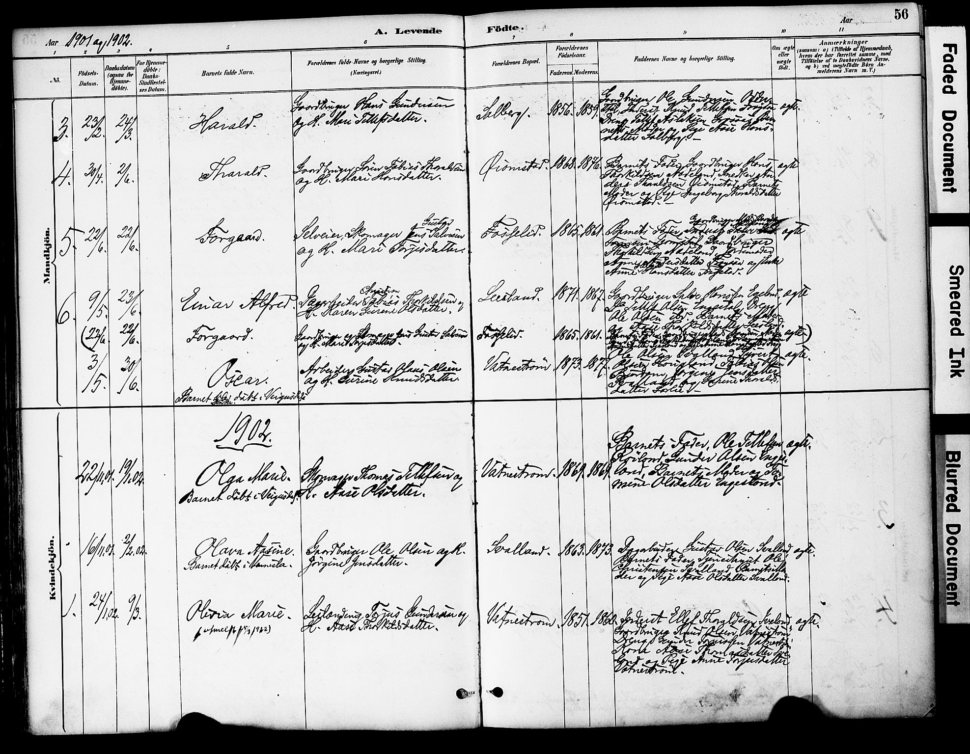 Evje sokneprestkontor, AV/SAK-1111-0008/F/Fa/Fac/L0003: Parish register (official) no. A 3, 1884-1909, p. 56