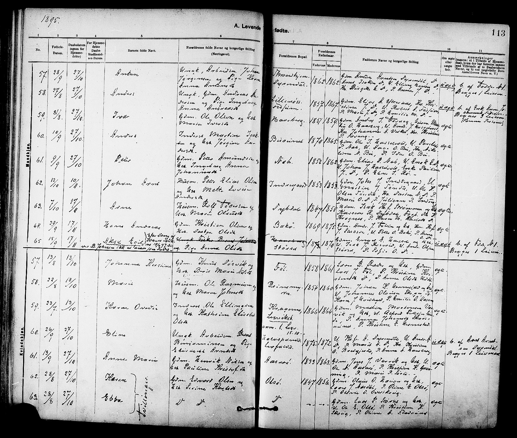 Ministerialprotokoller, klokkerbøker og fødselsregistre - Sør-Trøndelag, SAT/A-1456/647/L0634: Parish register (official) no. 647A01, 1885-1896, p. 113