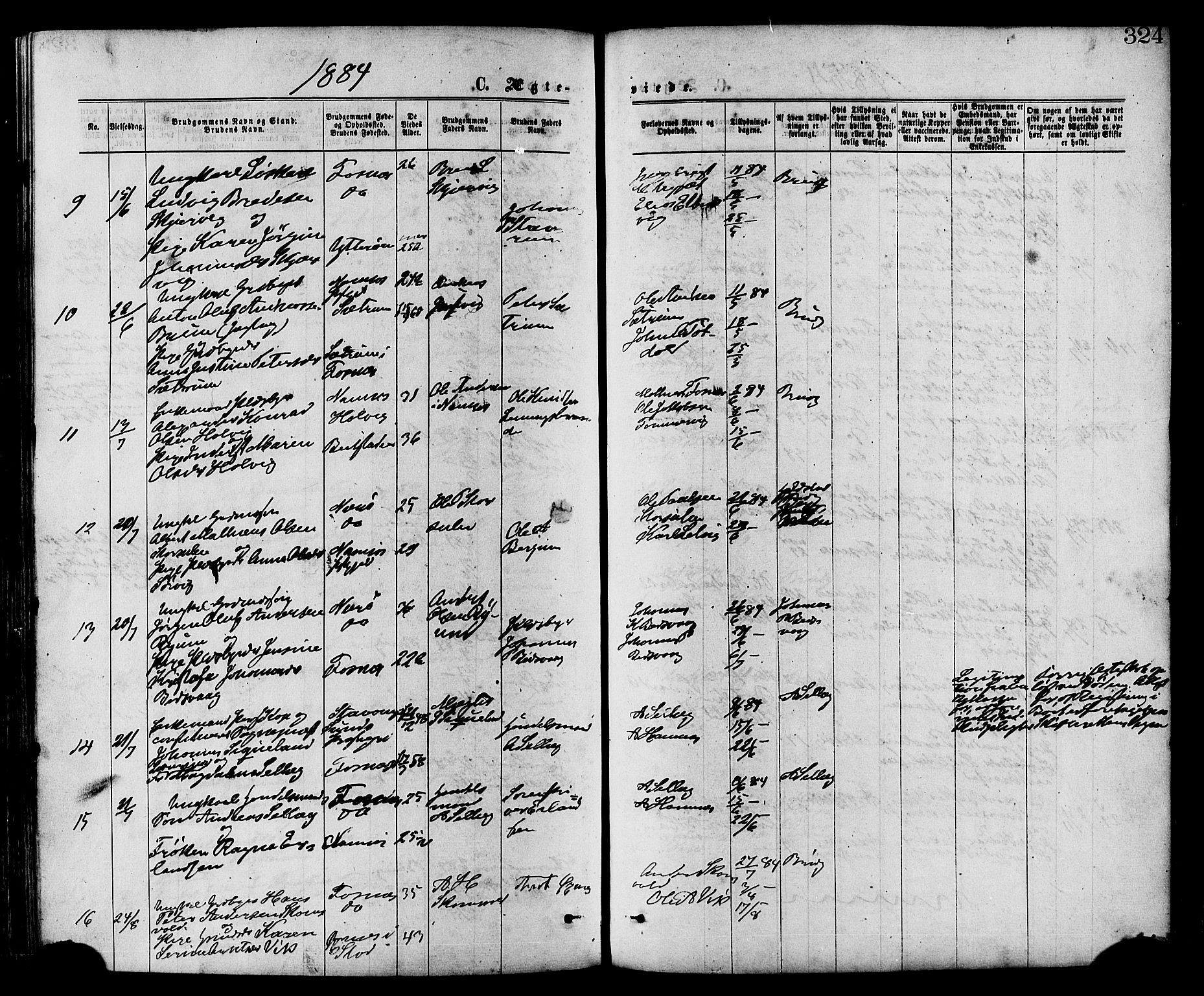 Ministerialprotokoller, klokkerbøker og fødselsregistre - Nord-Trøndelag, SAT/A-1458/773/L0616: Parish register (official) no. 773A07, 1870-1887, p. 324
