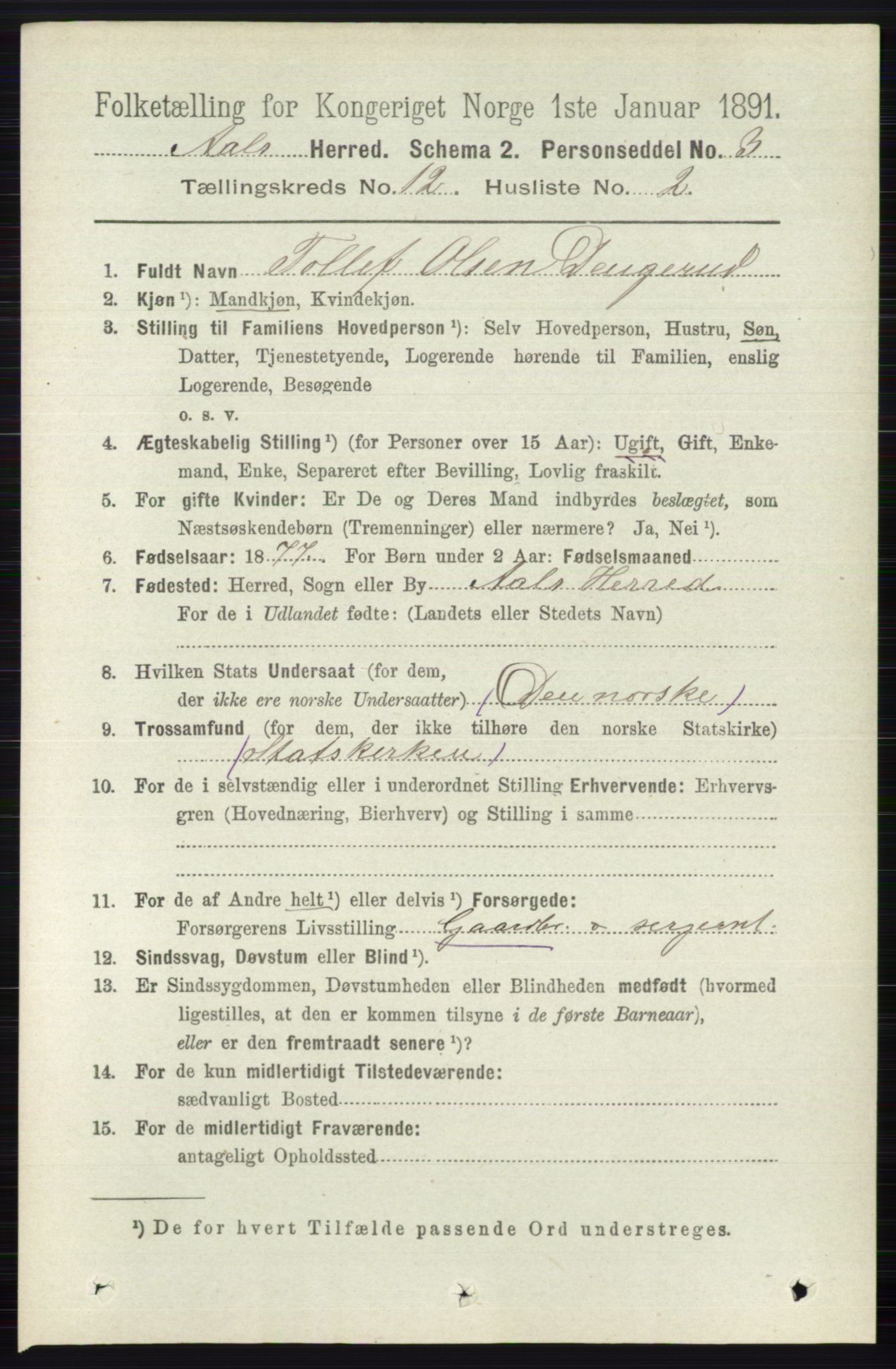 RA, 1891 census for 0619 Ål, 1891, p. 3016