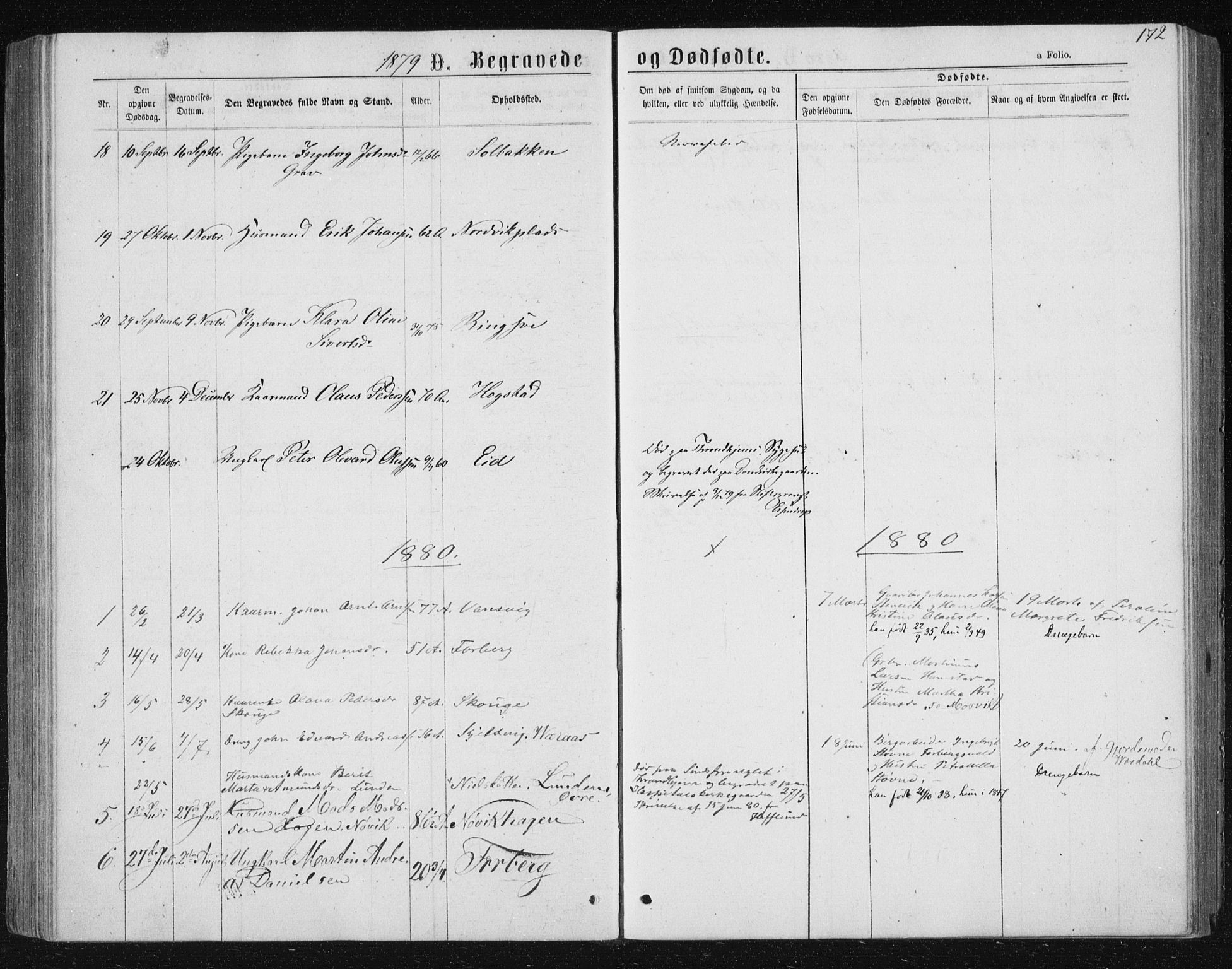 Ministerialprotokoller, klokkerbøker og fødselsregistre - Nord-Trøndelag, SAT/A-1458/722/L0219: Parish register (official) no. 722A06, 1868-1880, p. 172