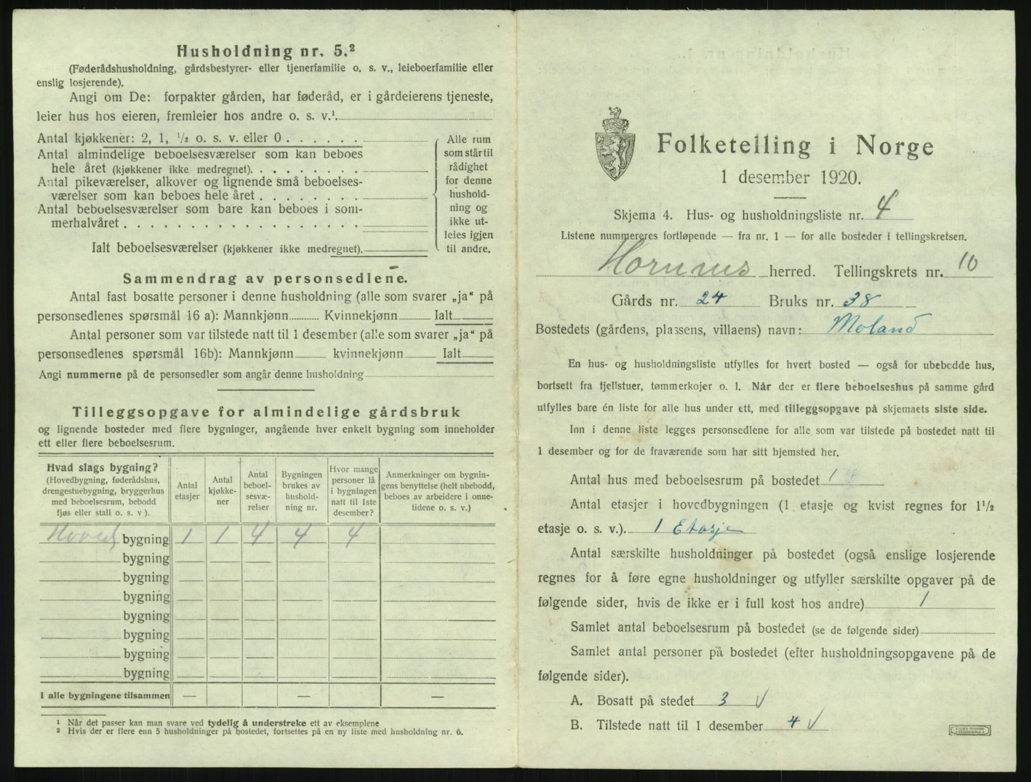 SAK, 1920 census for Hornnes, 1920, p. 413
