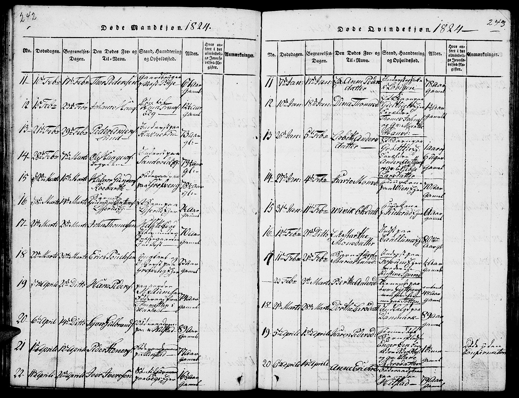 Nes prestekontor, Hedmark, AV/SAH-PREST-020/L/La/L0003: Parish register (copy) no. 3, 1814-1831, p. 242-243