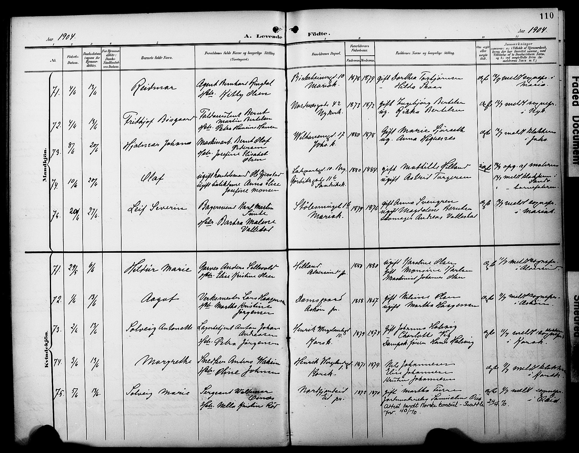 Fødselsstiftelsens sokneprestembete*, SAB/-: Parish register (official) no. A 3, 1901-1910, p. 110