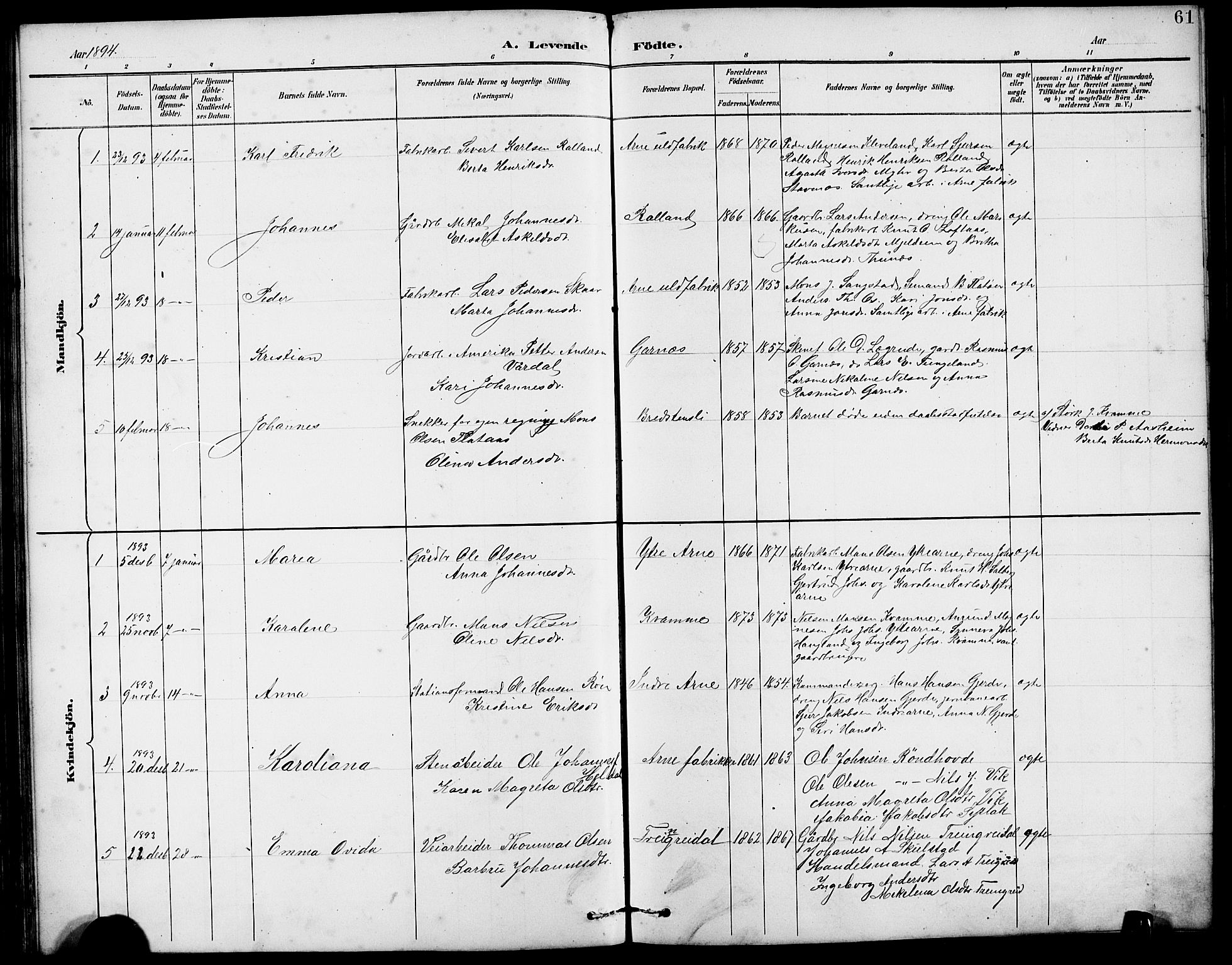 Arna Sokneprestembete, SAB/A-74001/H/Ha/Hab: Parish register (copy) no. A 3, 1887-1897, p. 61
