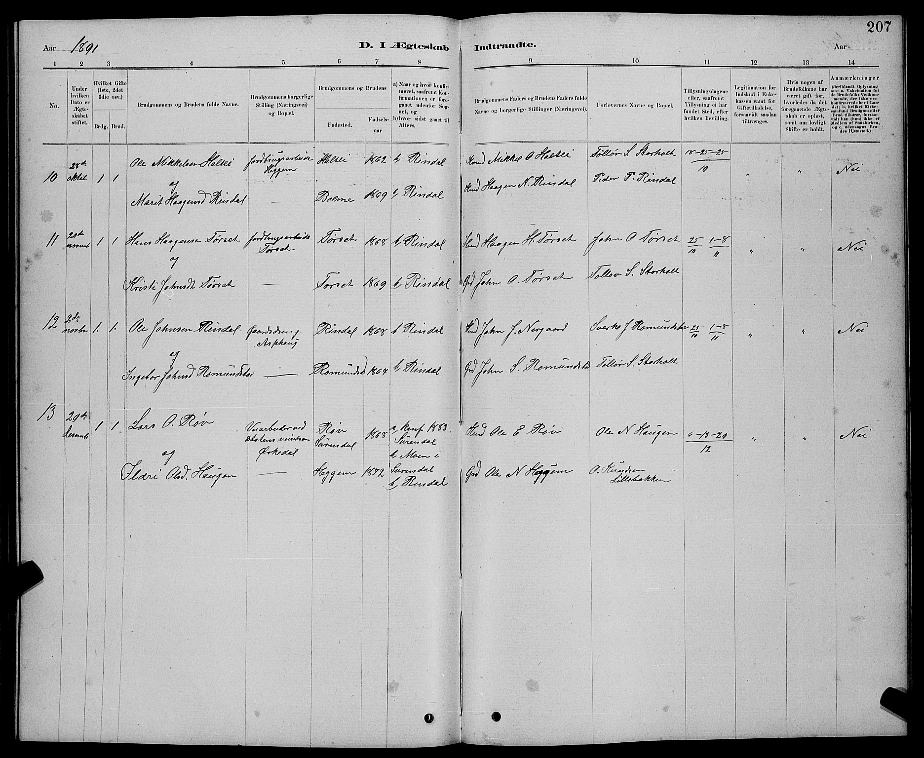 Ministerialprotokoller, klokkerbøker og fødselsregistre - Møre og Romsdal, AV/SAT-A-1454/598/L1077: Parish register (copy) no. 598C02, 1879-1891, p. 207