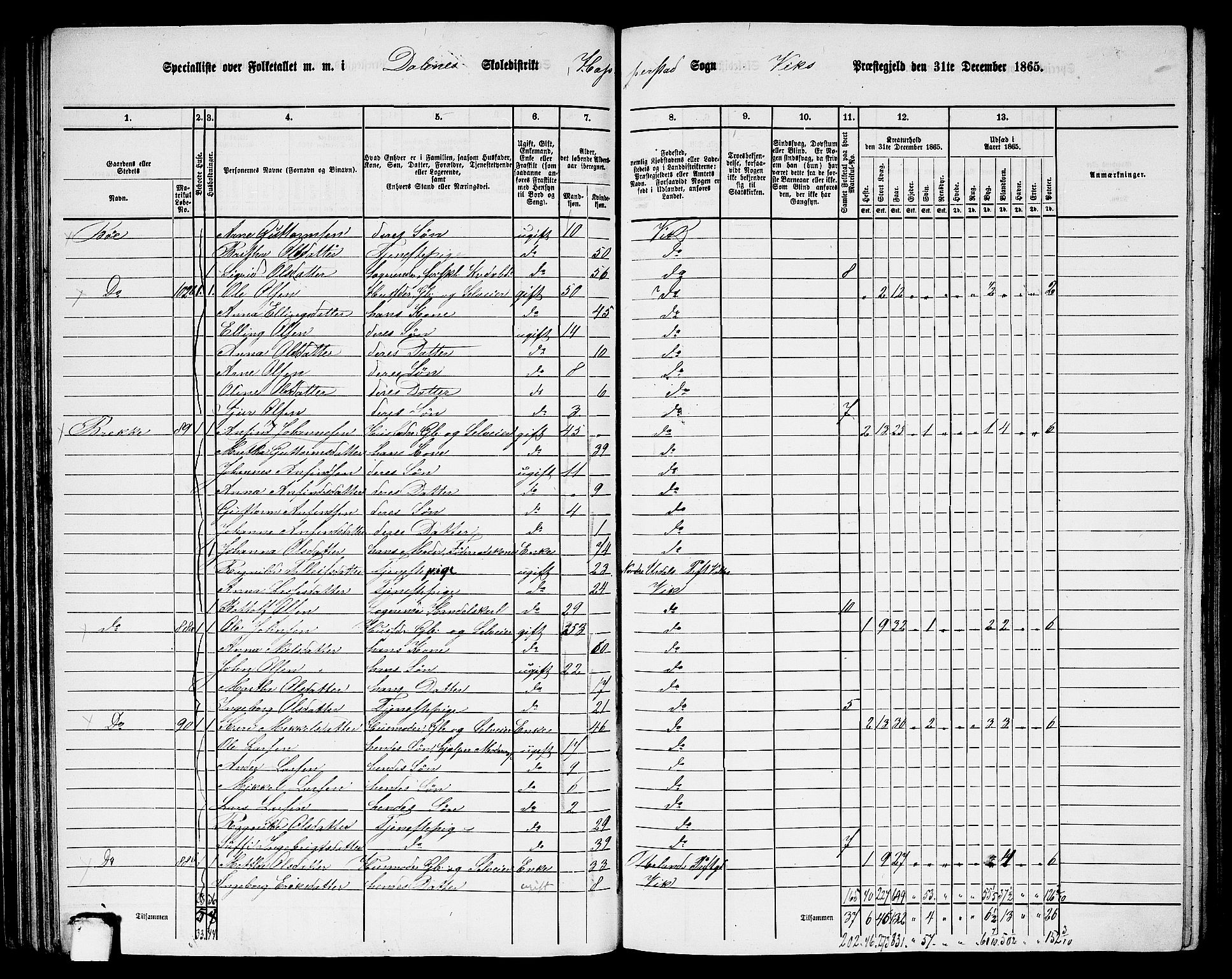 RA, 1865 census for Vik, 1865, p. 76