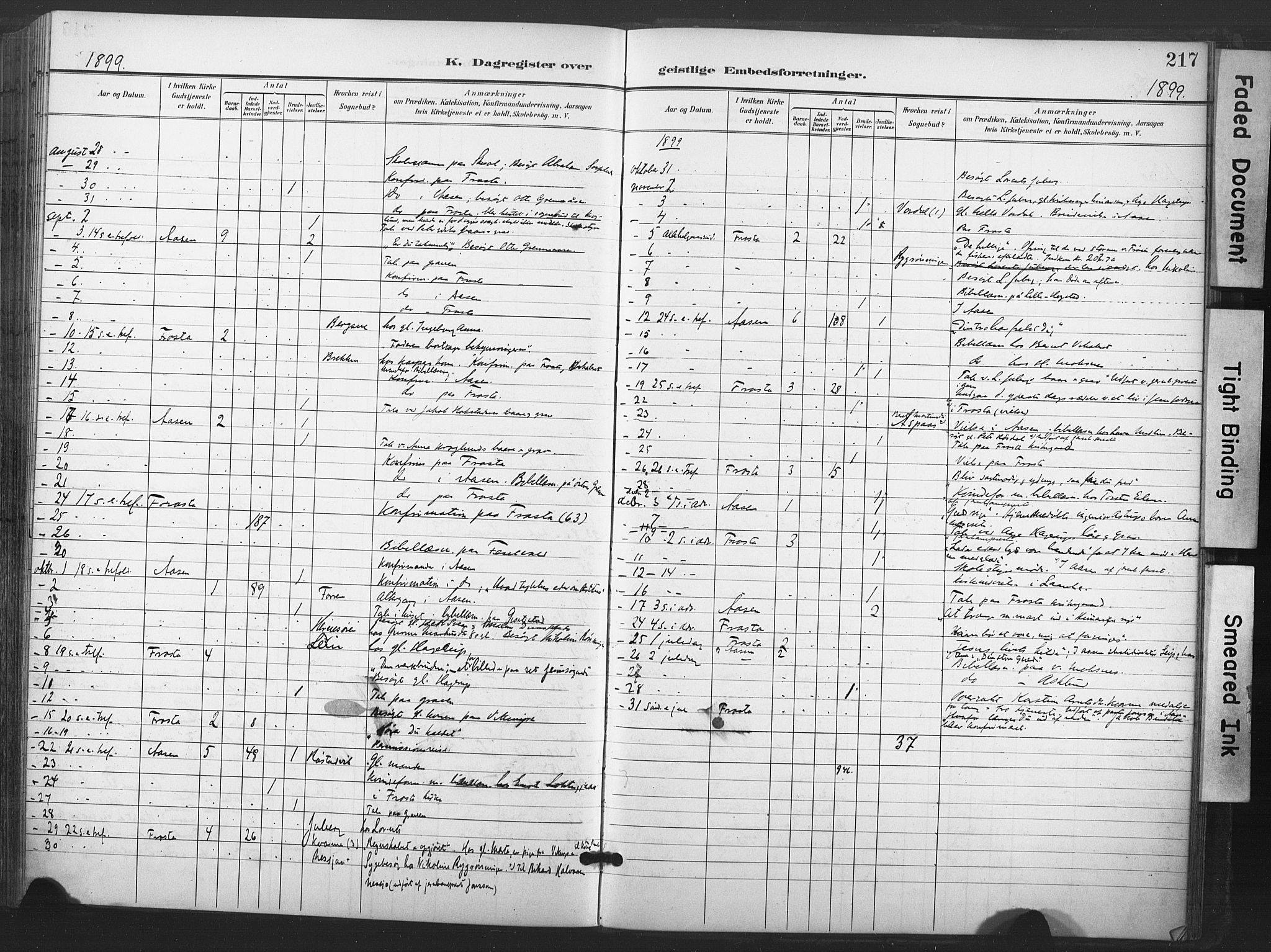 Ministerialprotokoller, klokkerbøker og fødselsregistre - Nord-Trøndelag, AV/SAT-A-1458/713/L0122: Parish register (official) no. 713A11, 1899-1910, p. 217