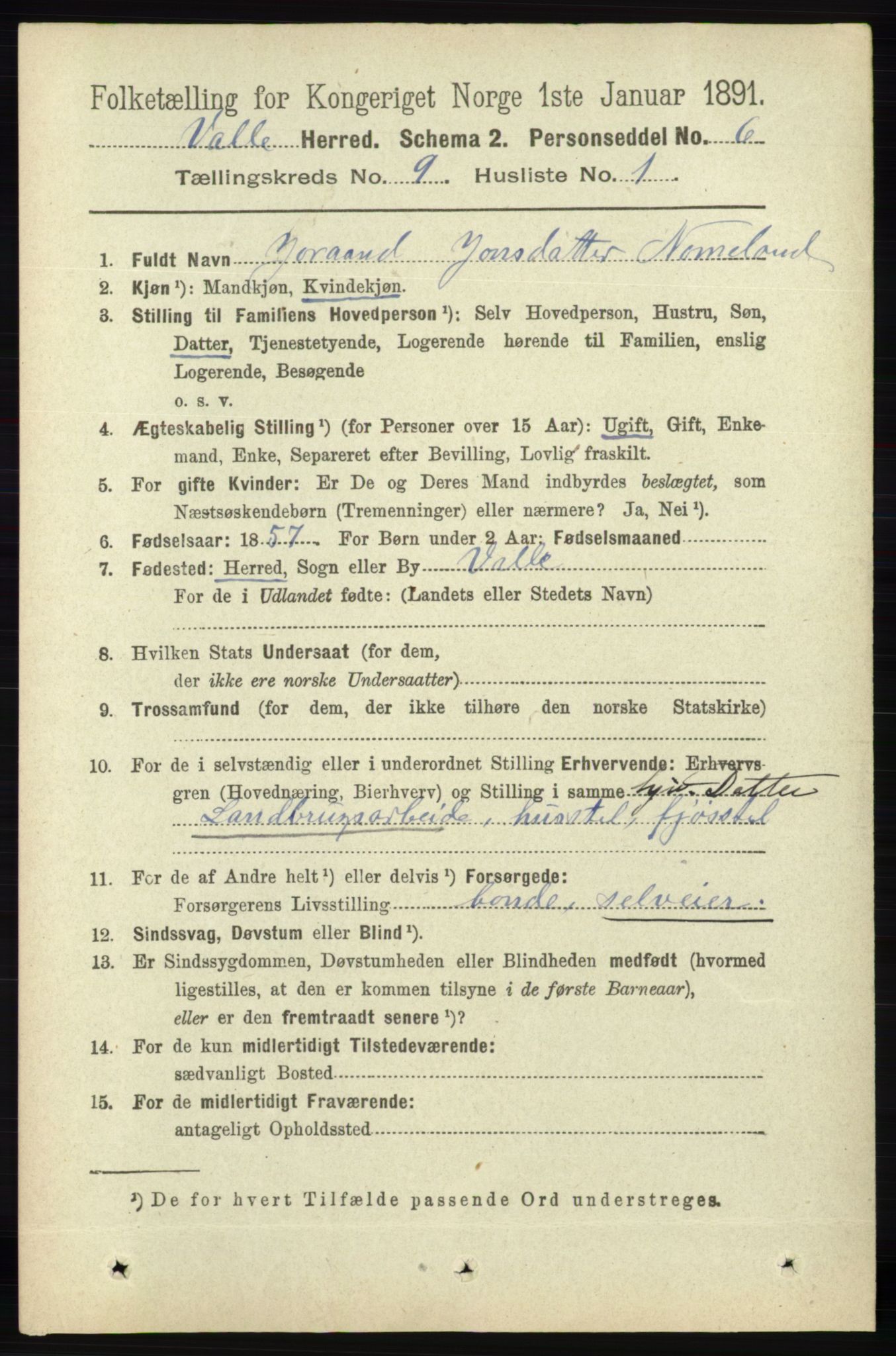 RA, 1891 census for 0940 Valle, 1891, p. 2449