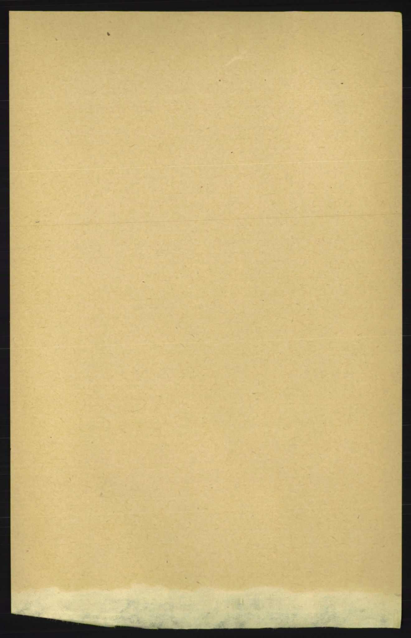 RA, 1891 census for 1824 Vefsn, 1891, p. 1275