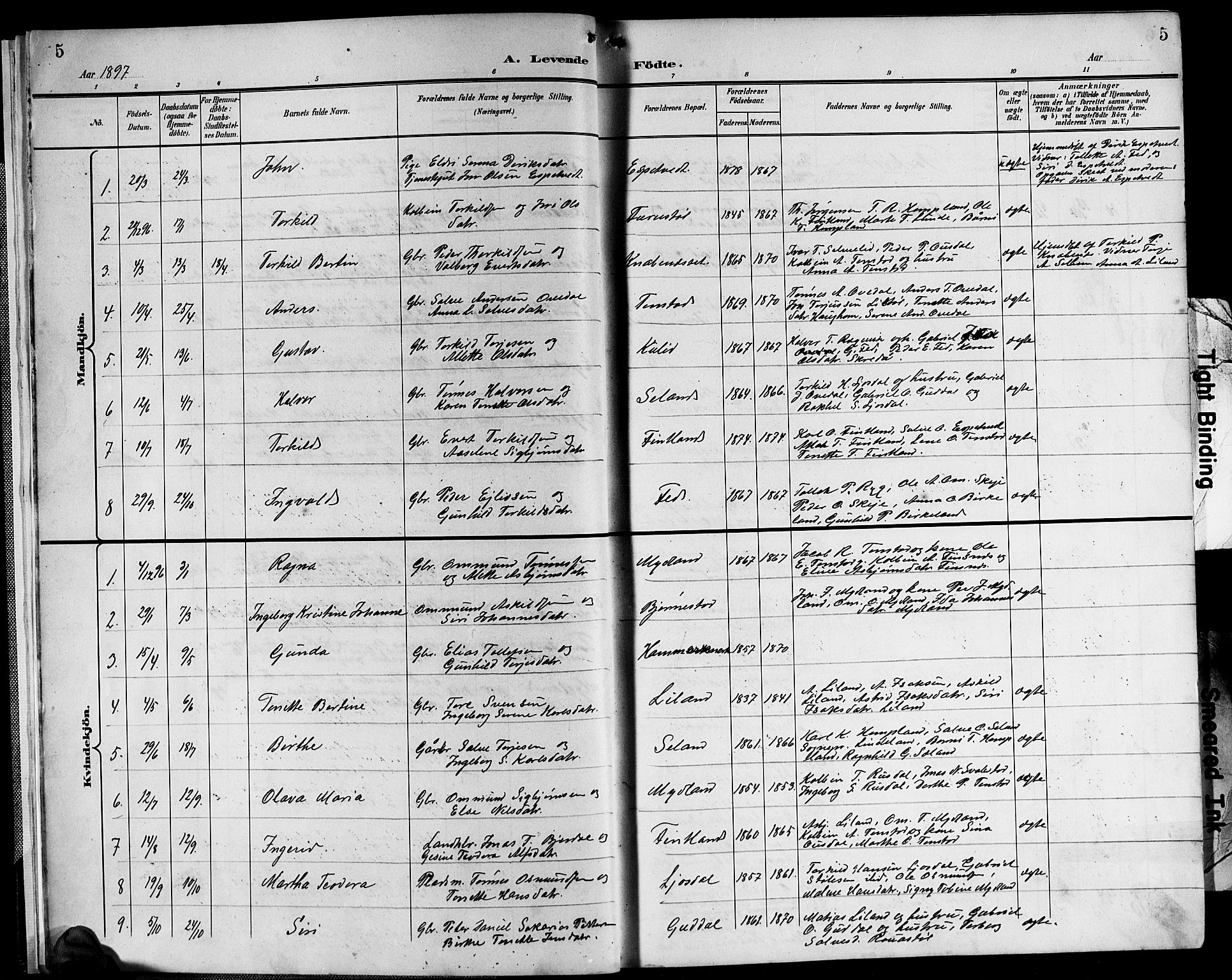 Sirdal sokneprestkontor, SAK/1111-0036/F/Fb/Fbb/L0004: Parish register (copy) no. B 4, 1895-1916, p. 5