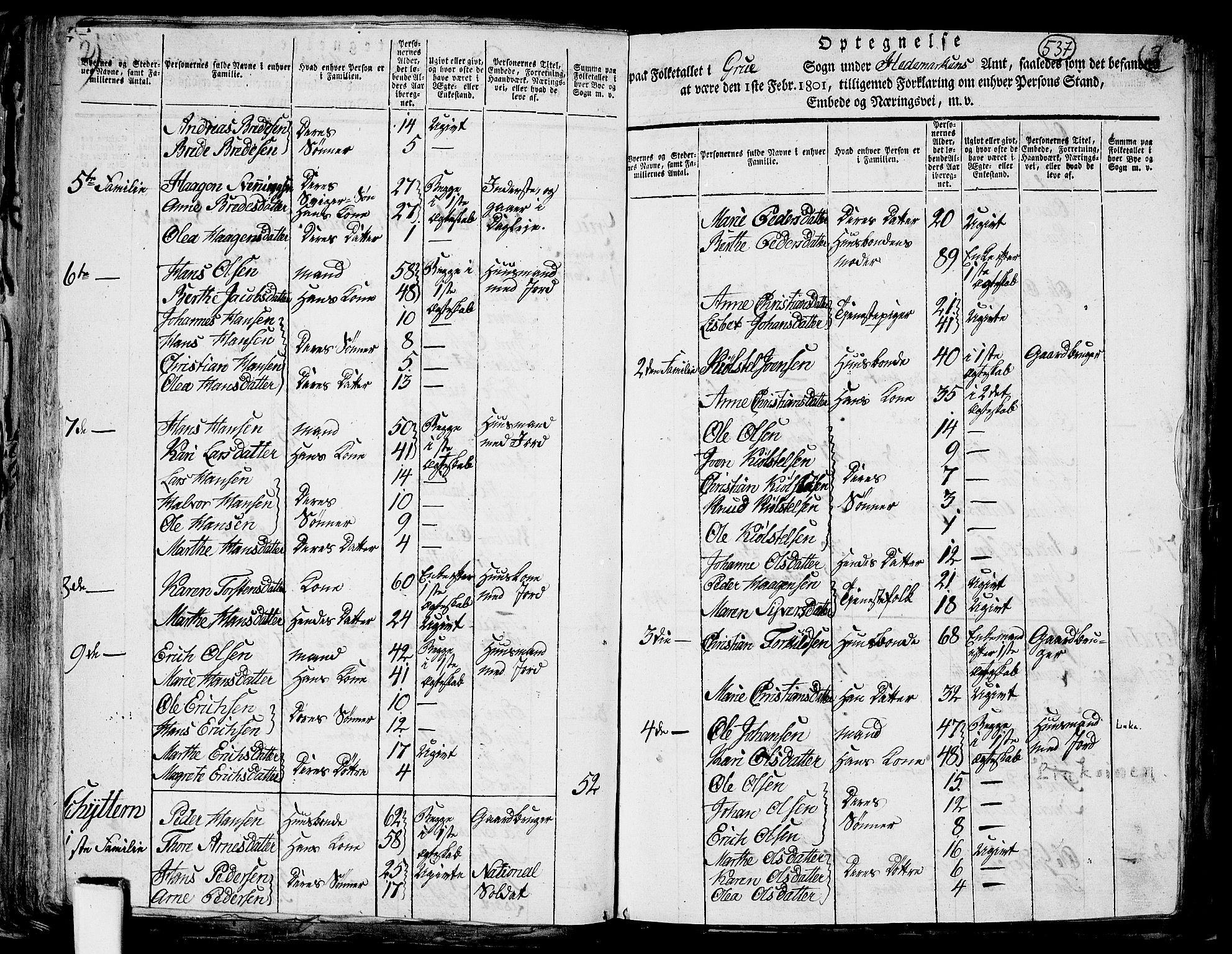 RA, 1801 census for 0423P Grue, 1801, p. 536b-537a