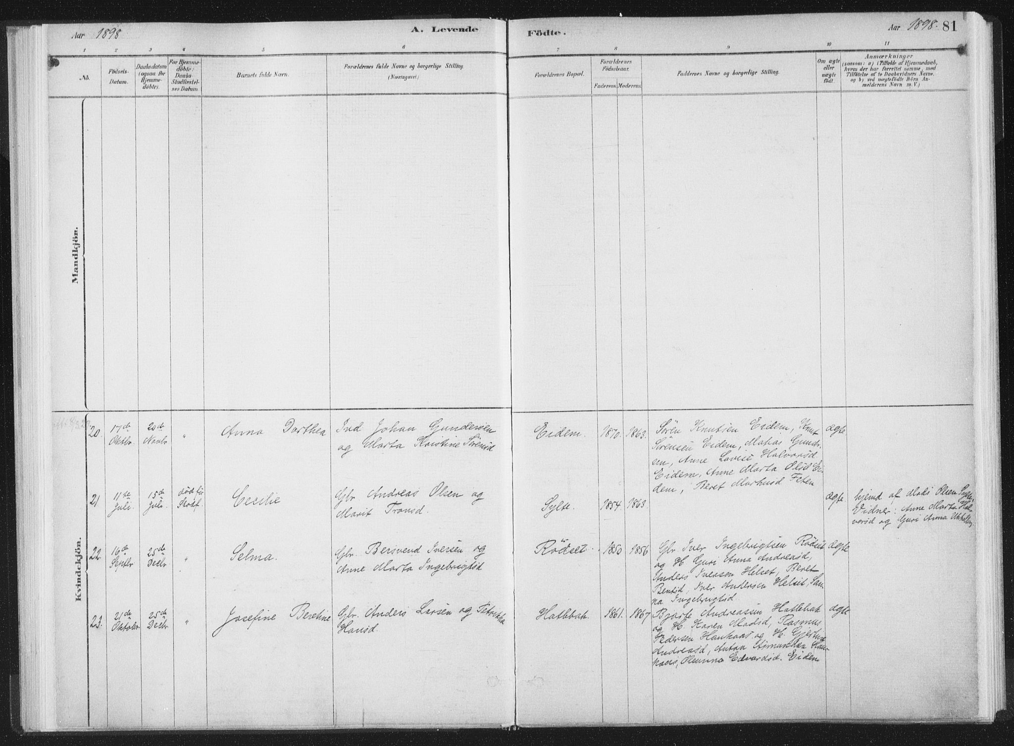 Ministerialprotokoller, klokkerbøker og fødselsregistre - Møre og Romsdal, AV/SAT-A-1454/564/L0740: Parish register (official) no. 564A01, 1880-1899, p. 81