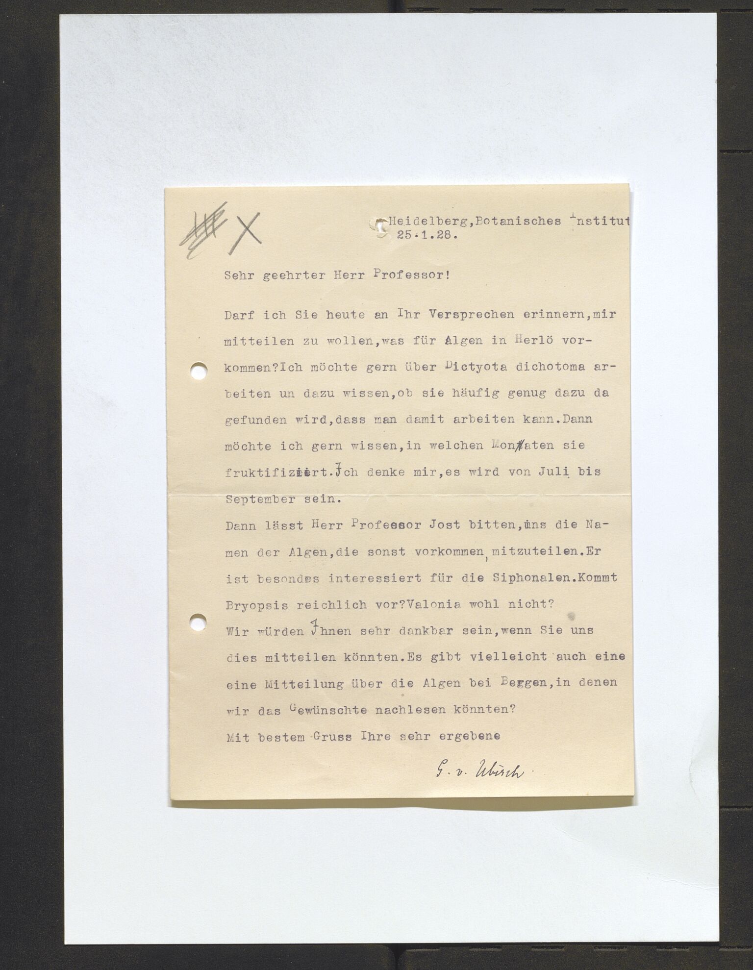 Bergens Museum, AV/SAB-A-17301/13/D/L0002: Korrespondanse , 1928-1940, p. 273