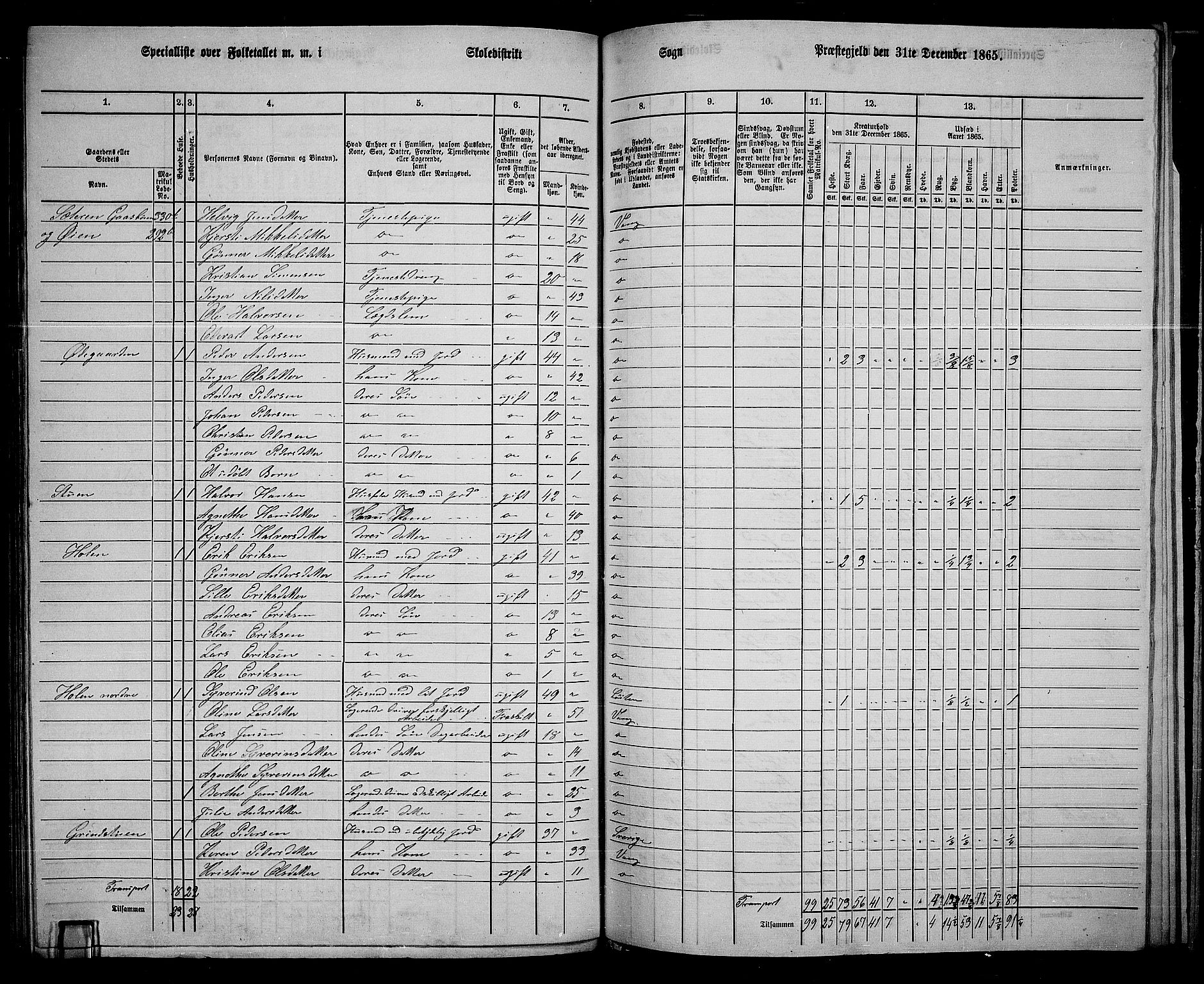 RA, 1865 census for Vang/Vang og Furnes, 1865, p. 298