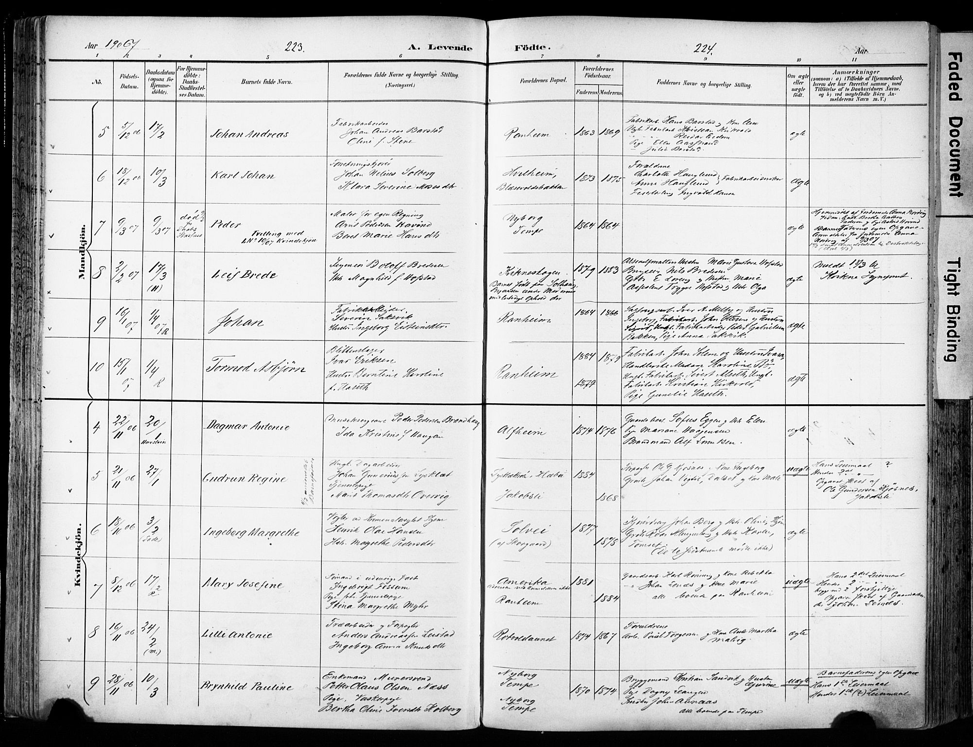 Ministerialprotokoller, klokkerbøker og fødselsregistre - Sør-Trøndelag, SAT/A-1456/606/L0301: Parish register (official) no. 606A16, 1894-1907, p. 223-224