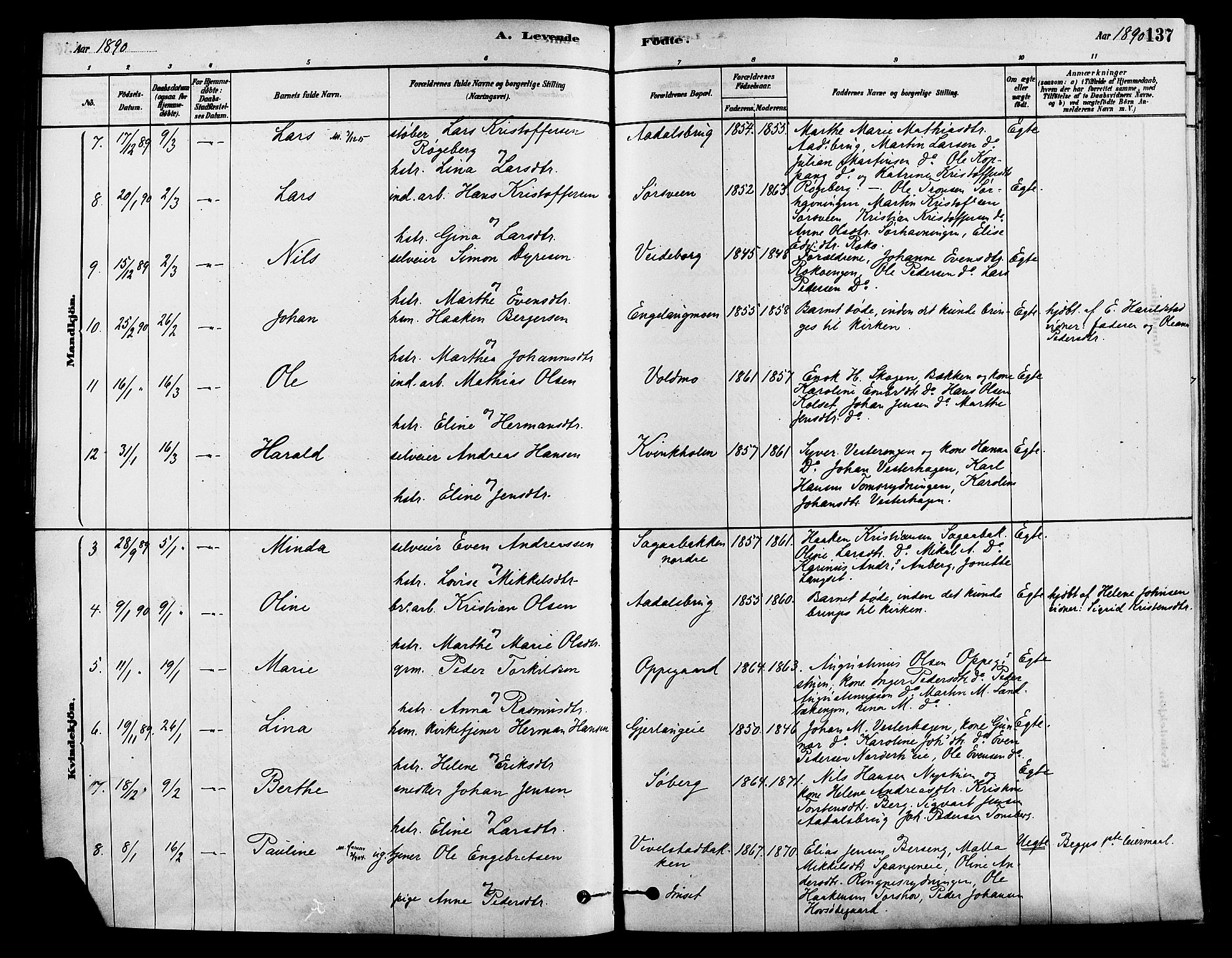 Løten prestekontor, SAH/PREST-022/K/Ka/L0009: Parish register (official) no. 9, 1878-1891, p. 137