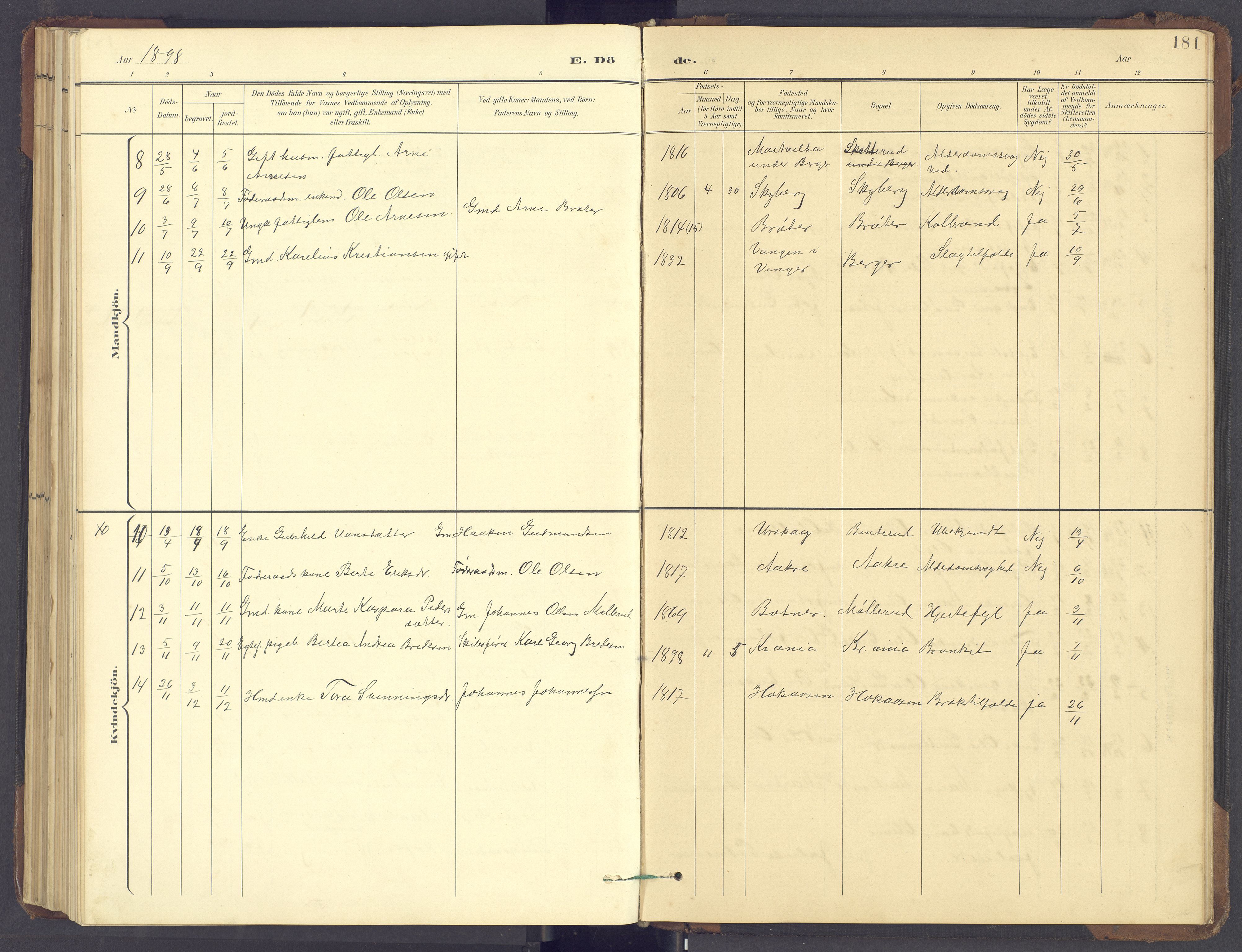 Brandval prestekontor, SAH/PREST-034/H/Ha/Hab/L0002: Parish register (copy) no. 2, 1895-1904, p. 181