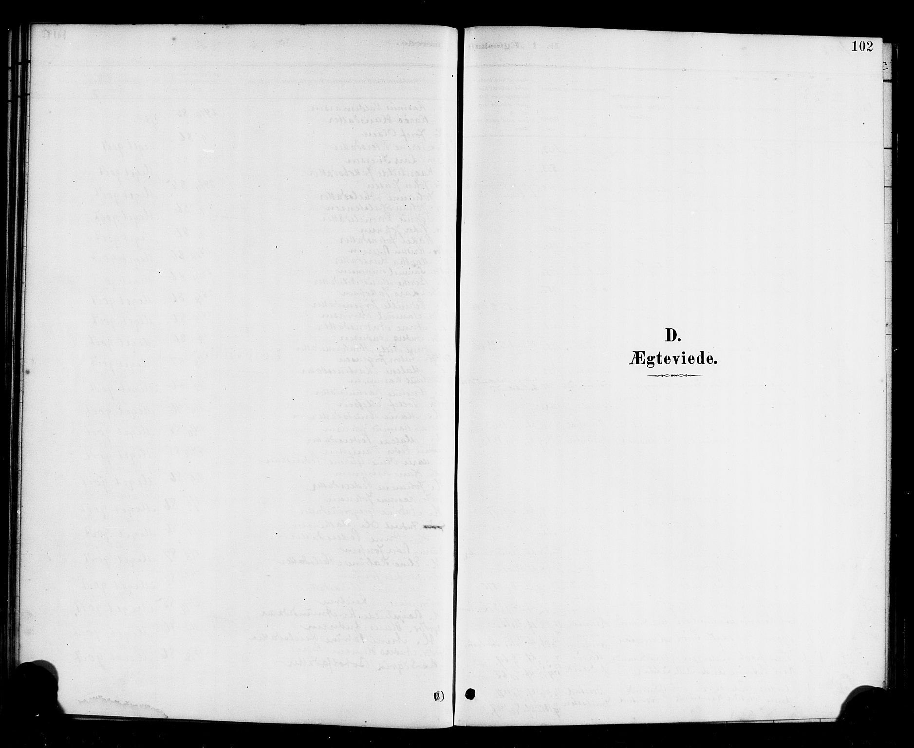 Davik sokneprestembete, SAB/A-79701/H/Haa/Haab/L0001: Parish register (official) no. B 1, 1882-1900, p. 102