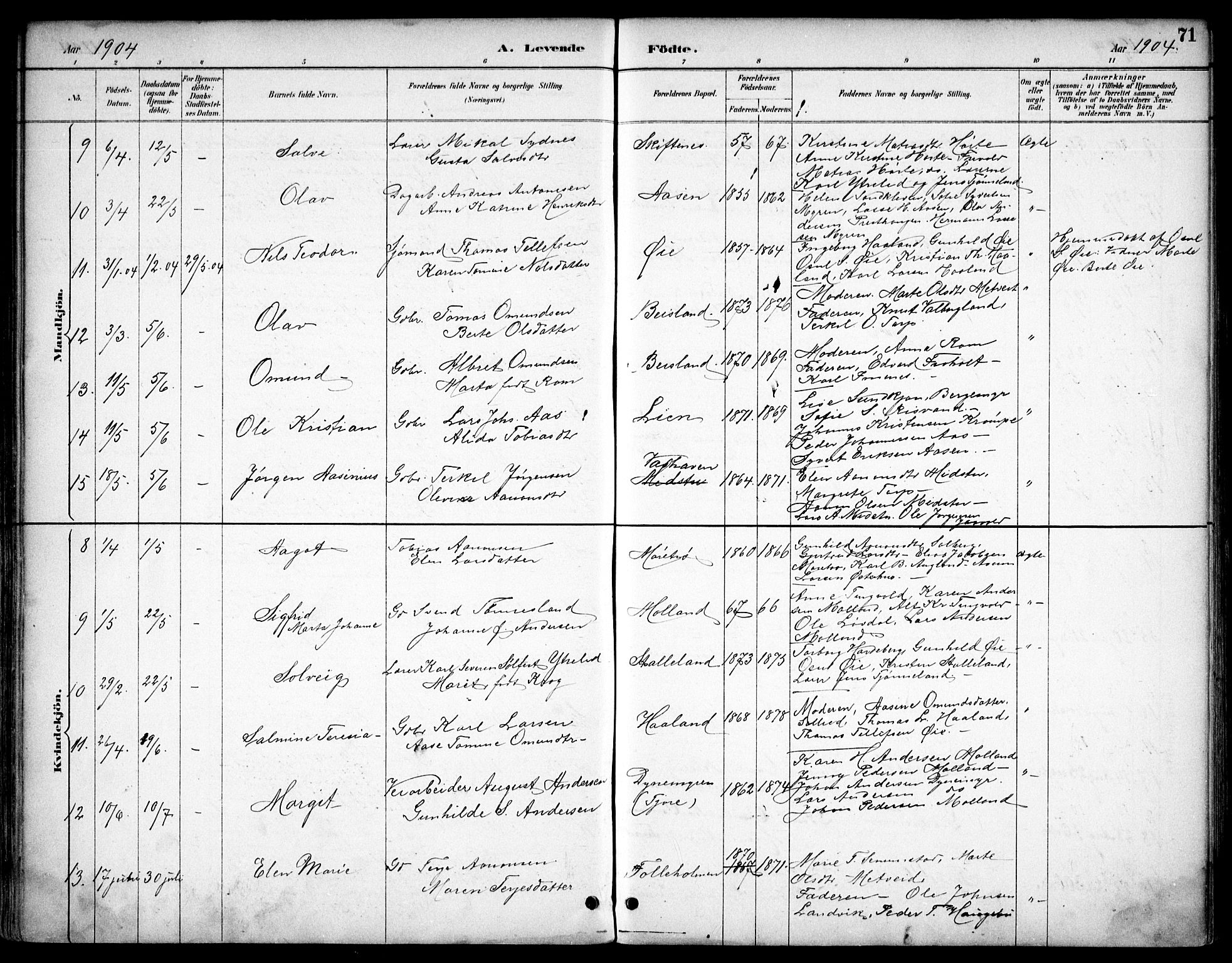 Hommedal sokneprestkontor, SAK/1111-0023/F/Fb/Fbb/L0007: Parish register (copy) no. B 7, 1885-1904, p. 71