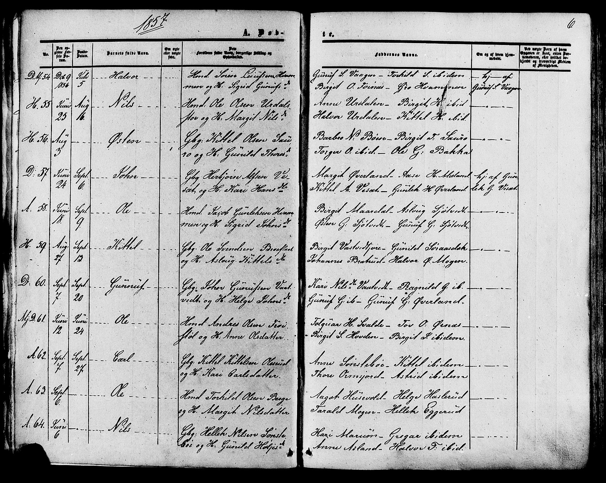 Tinn kirkebøker, SAKO/A-308/F/Fa/L0006: Parish register (official) no. I 6, 1857-1878, p. 6