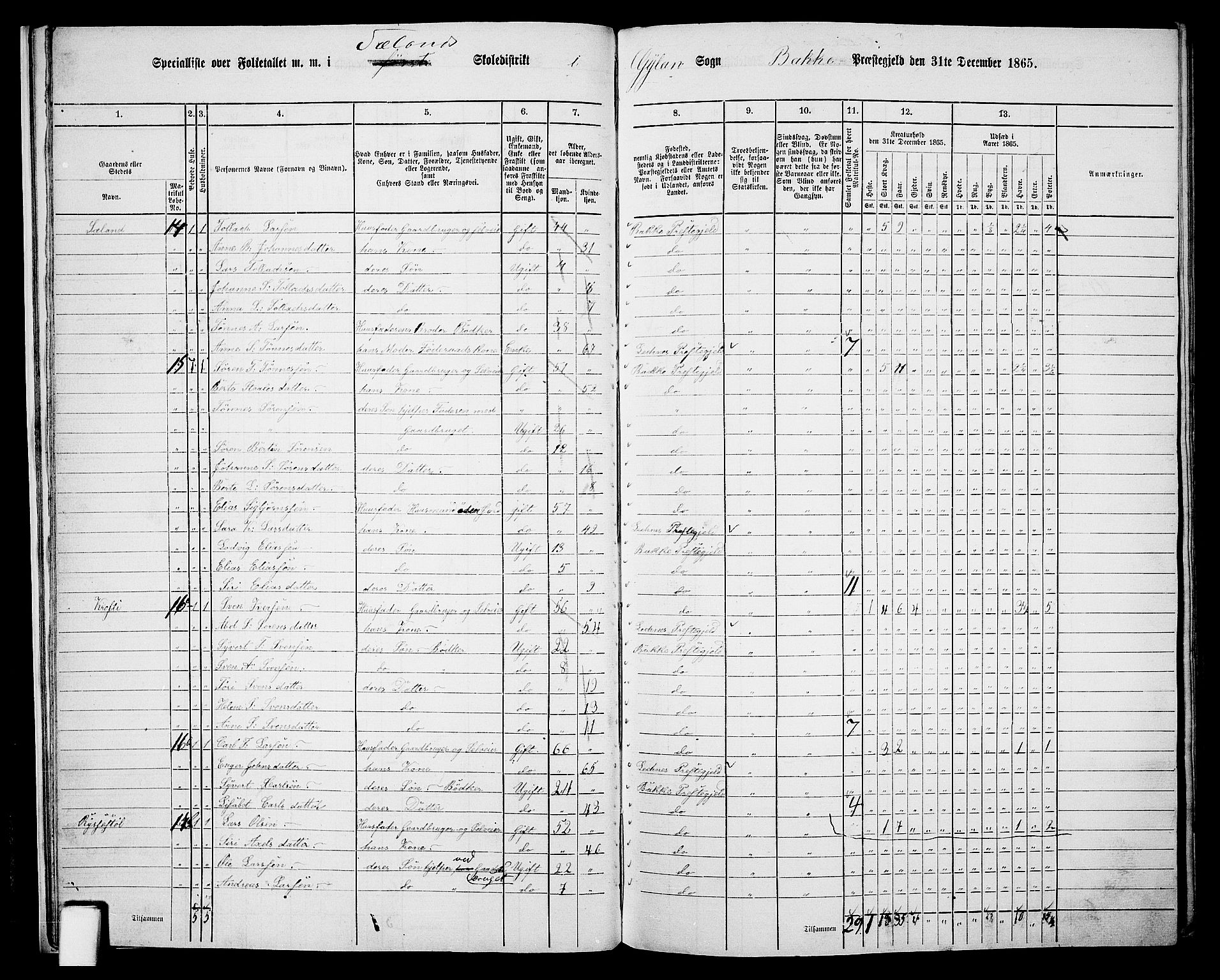 RA, 1865 census for Bakke, 1865, p. 18