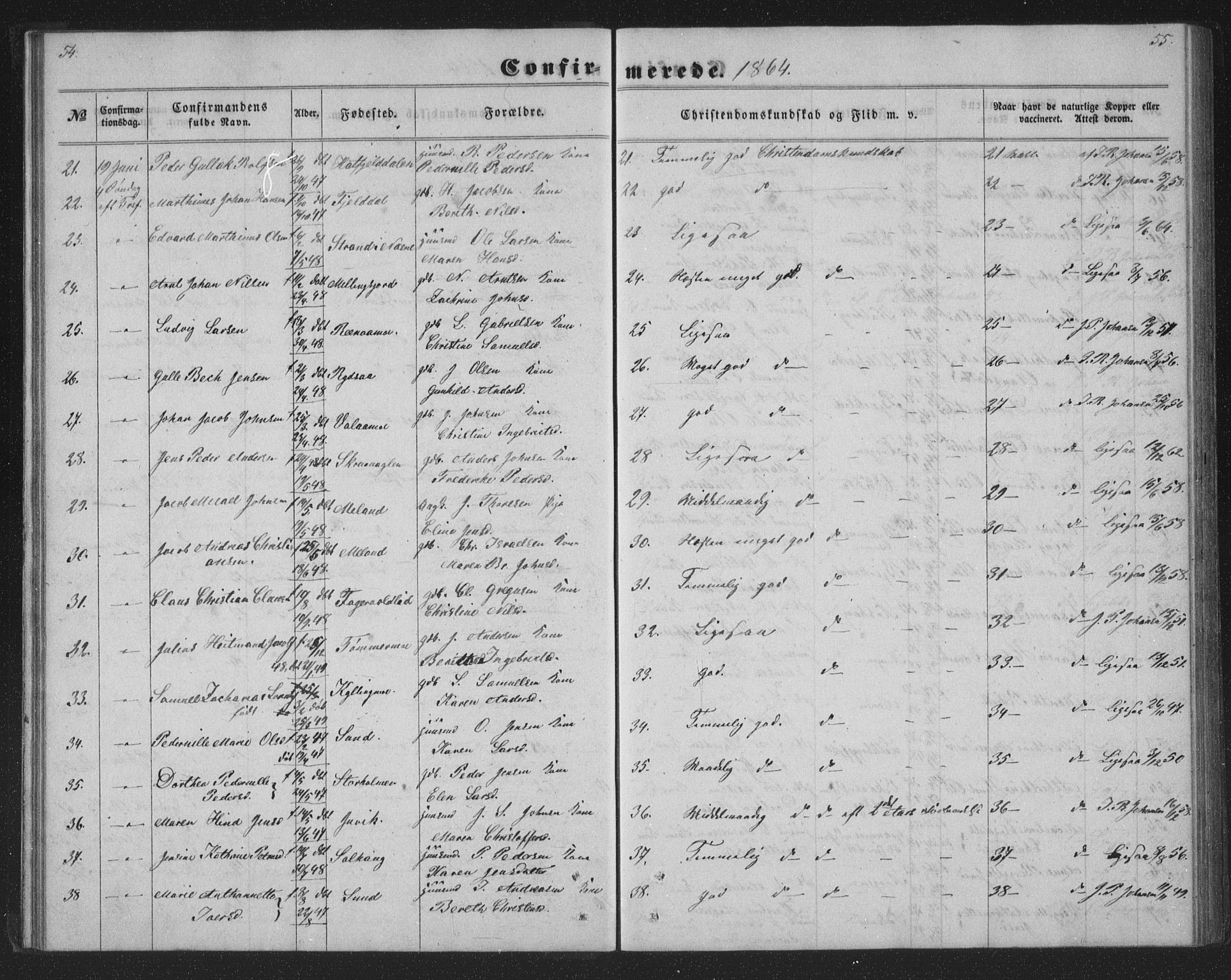 Ministerialprotokoller, klokkerbøker og fødselsregistre - Nordland, AV/SAT-A-1459/825/L0366: Parish register (copy) no. 825C03, 1858-1884, p. 54-55