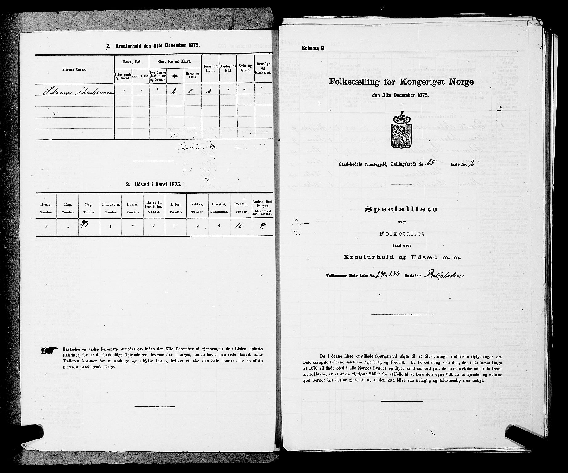 SAKO, 1875 census for 0816P Sannidal, 1875, p. 1915