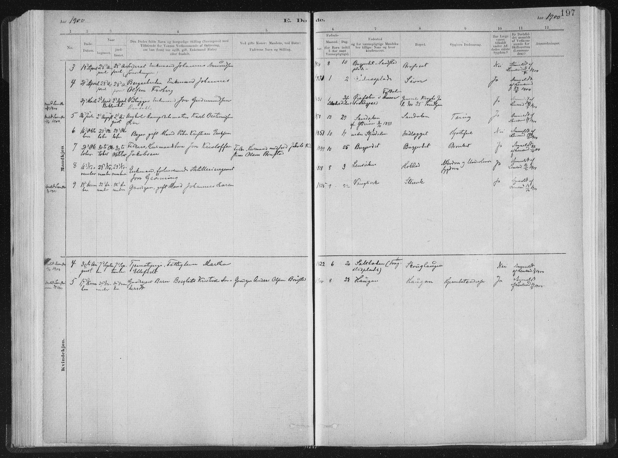 Ministerialprotokoller, klokkerbøker og fødselsregistre - Nord-Trøndelag, SAT/A-1458/722/L0220: Parish register (official) no. 722A07, 1881-1908, p. 197