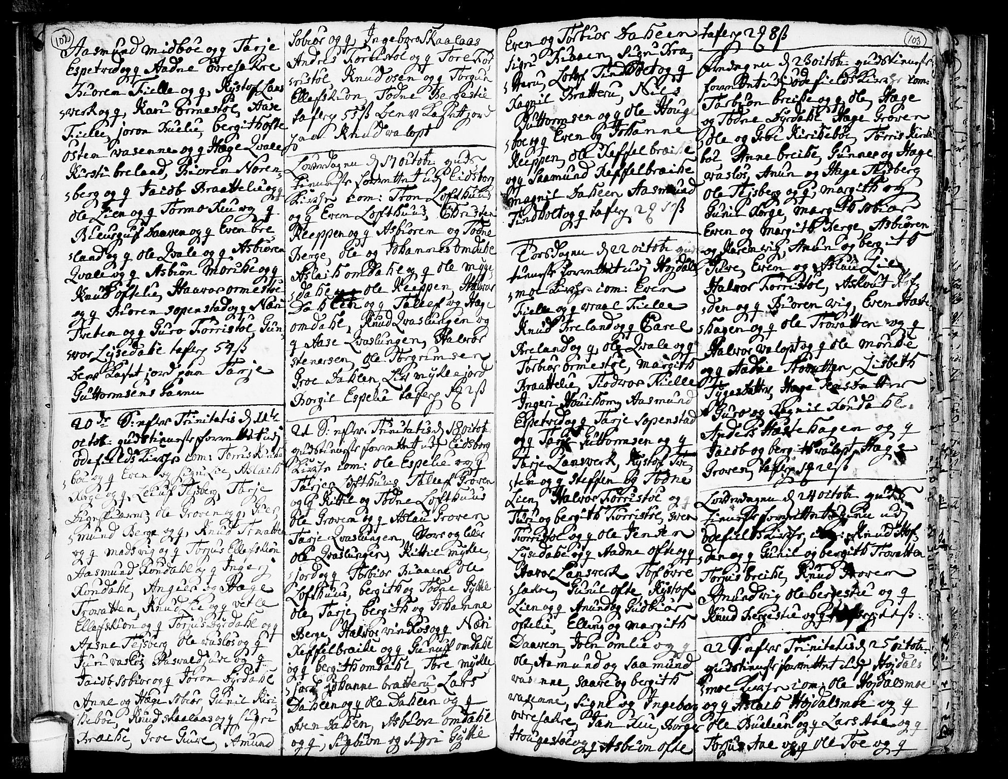 Lårdal kirkebøker, SAKO/A-284/F/Fa/L0002: Parish register (official) no. I 2, 1734-1754, p. 102-103