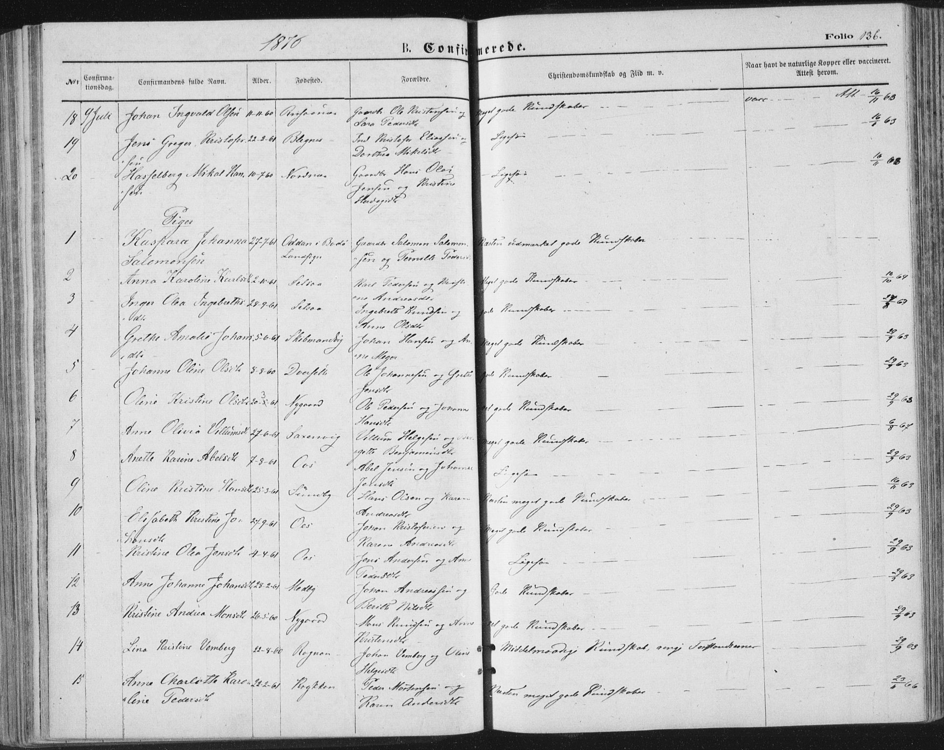 Ministerialprotokoller, klokkerbøker og fødselsregistre - Nordland, AV/SAT-A-1459/847/L0668: Parish register (official) no. 847A08, 1872-1886, p. 136